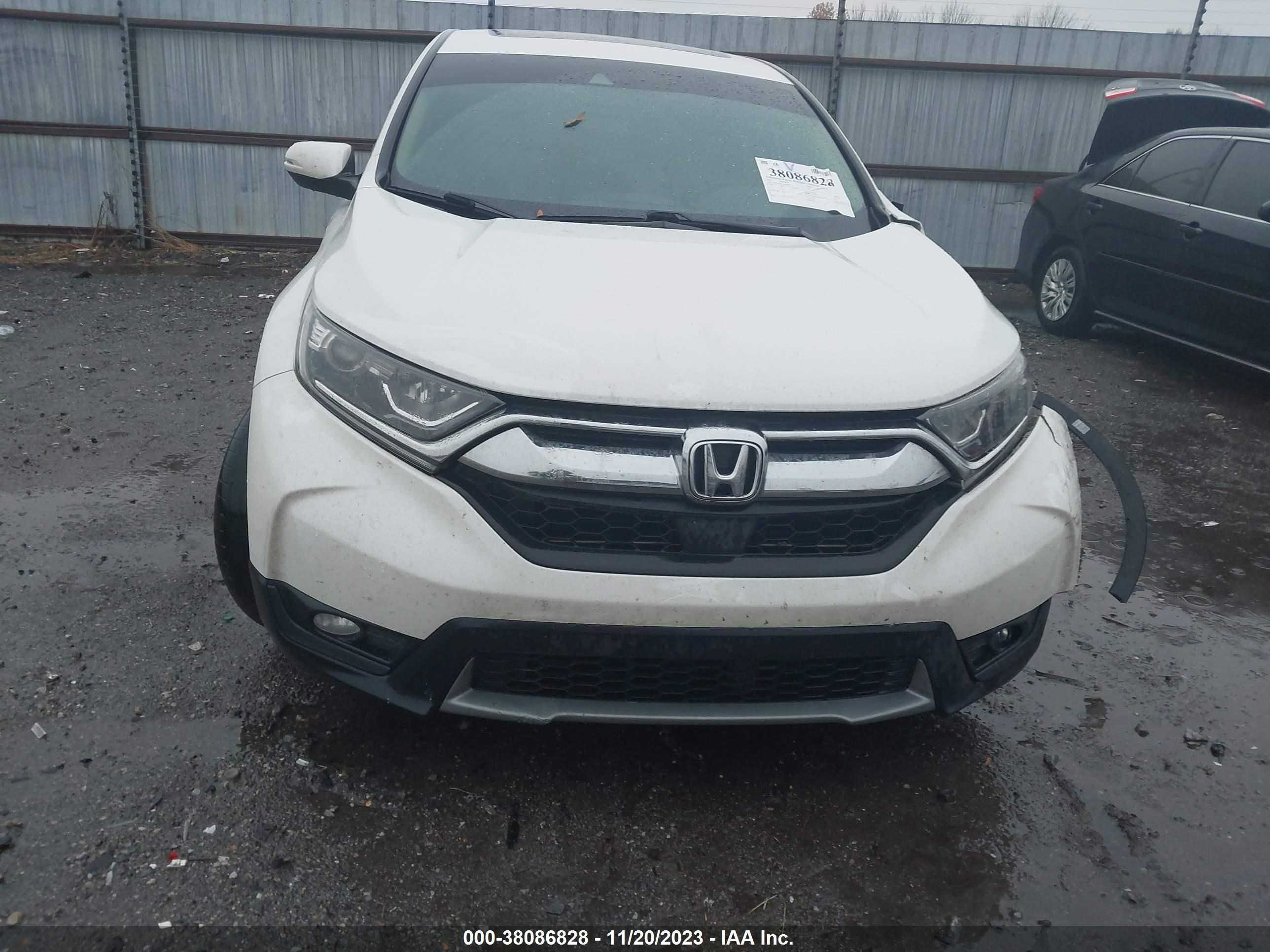 Photo 11 VIN: 5J6RW1H87JL016969 - HONDA CR-V 