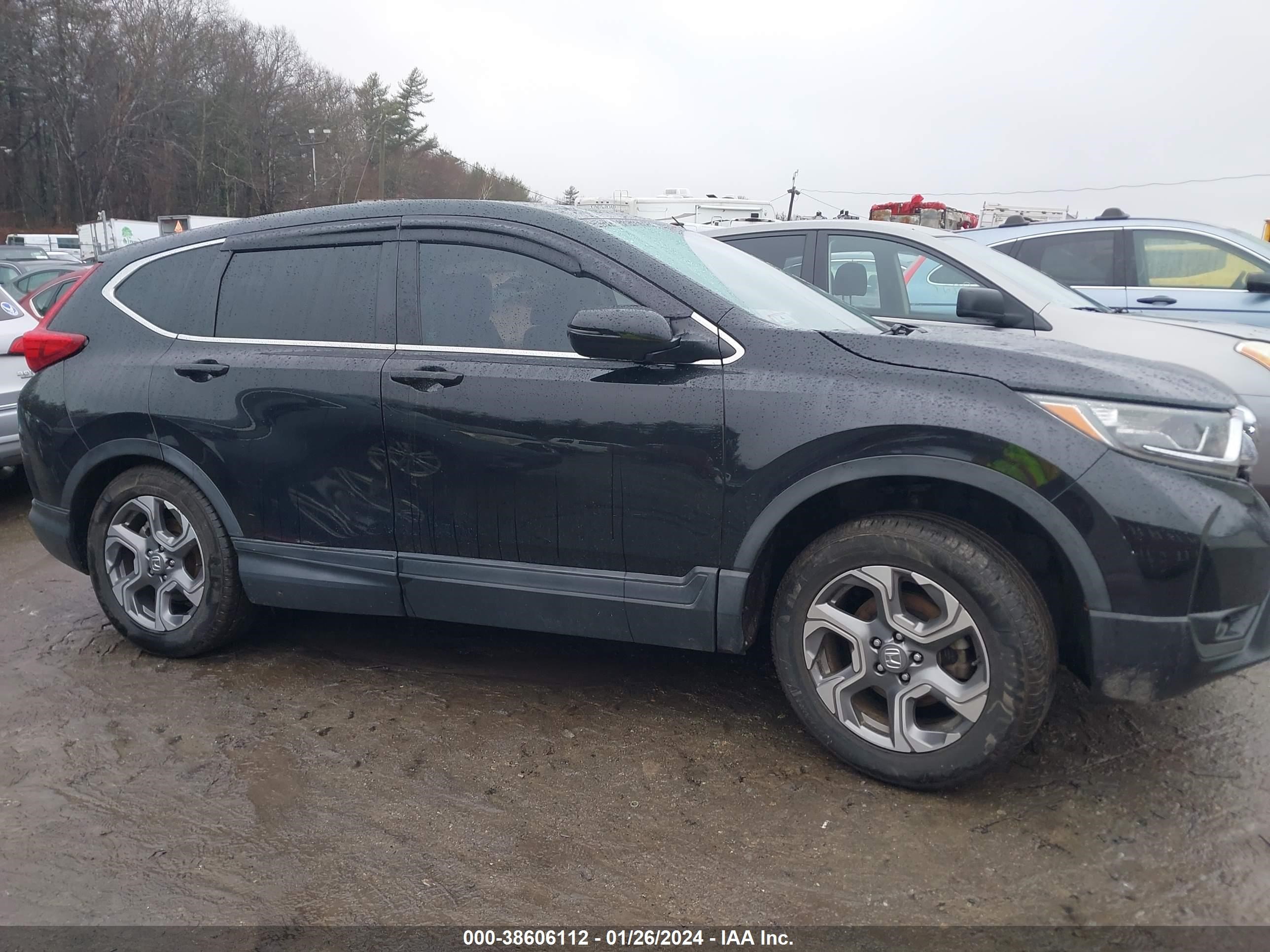 Photo 12 VIN: 5J6RW2H51HL067292 - HONDA CR-V 