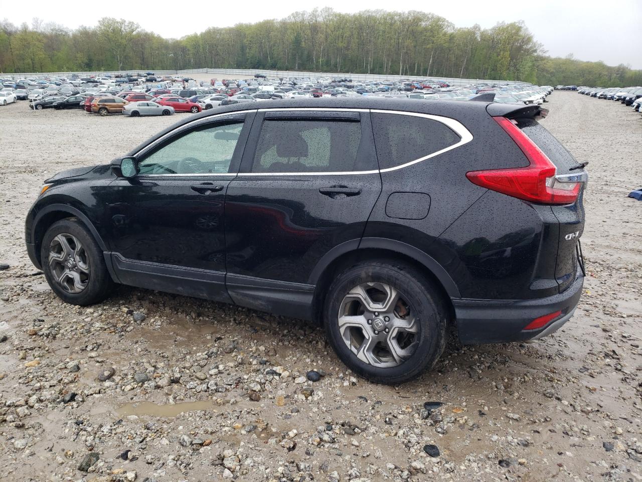 Photo 1 VIN: 5J6RW2H51HL071522 - HONDA CR-V 