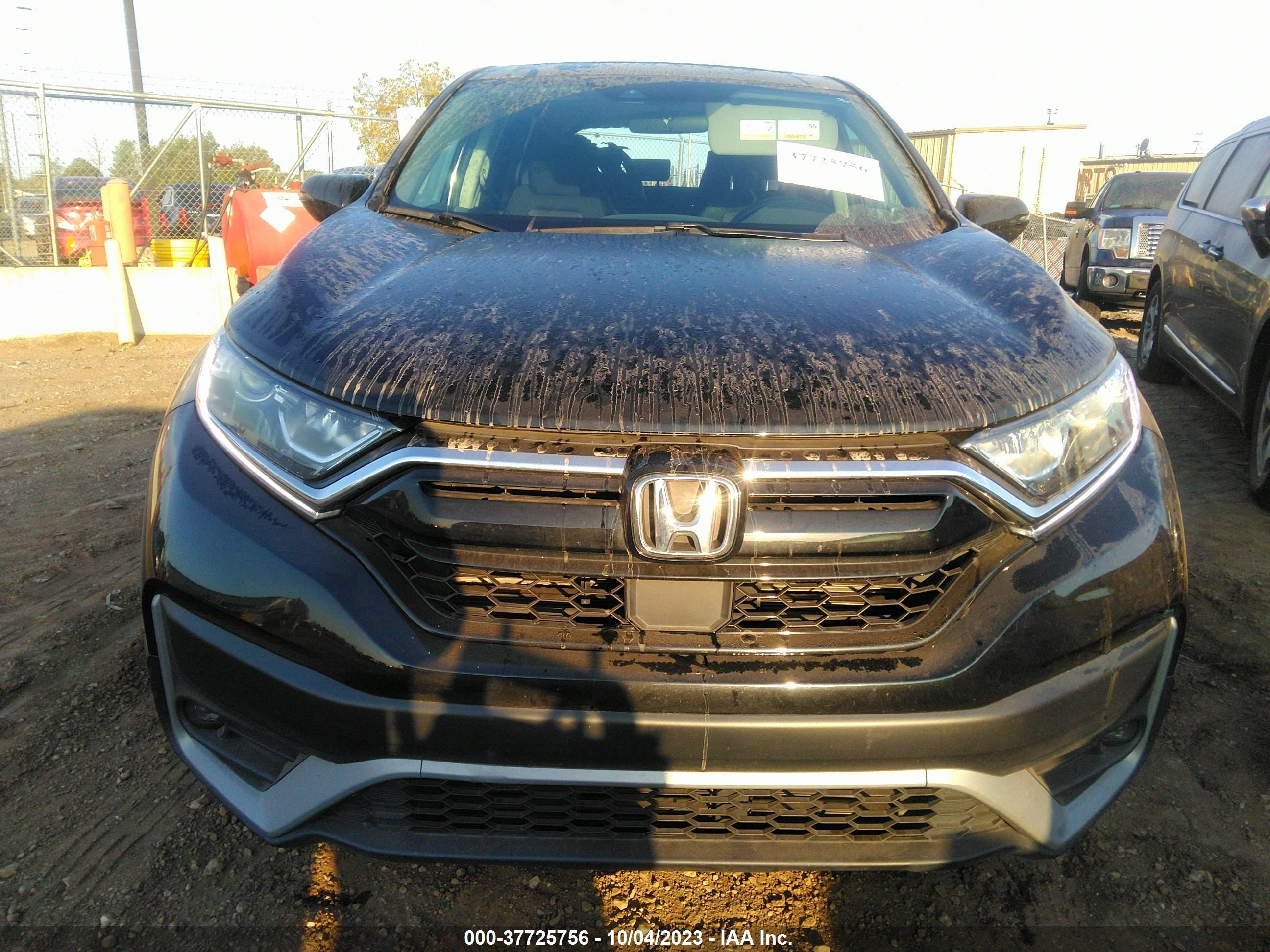 Photo 11 VIN: 5J6RW2H51NA006564 - HONDA CR-V 