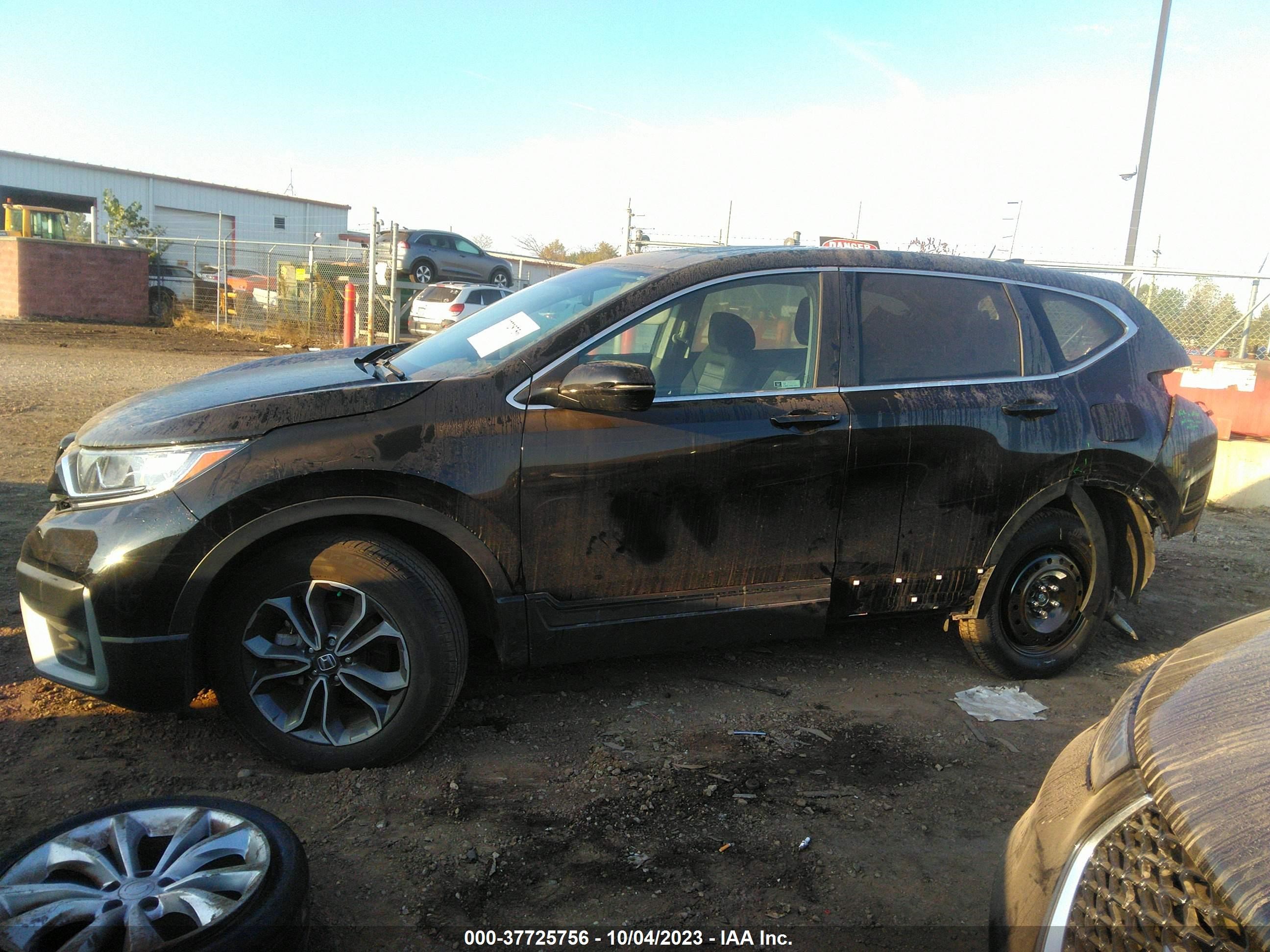 Photo 13 VIN: 5J6RW2H51NA006564 - HONDA CR-V 