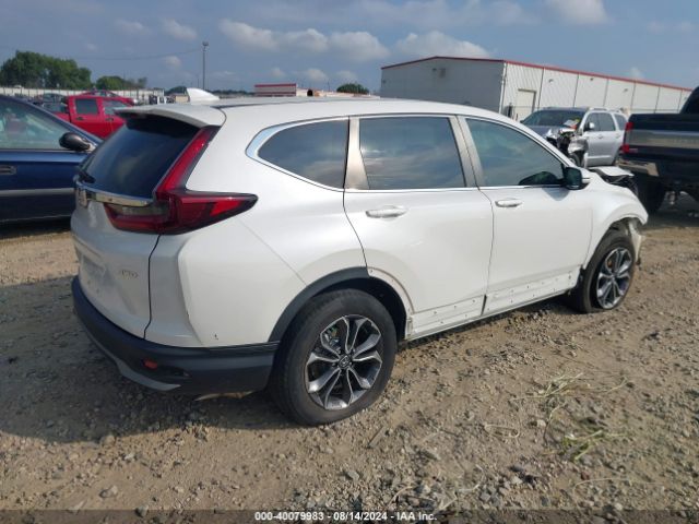 Photo 3 VIN: 5J6RW2H58LA020622 - HONDA CR-V 