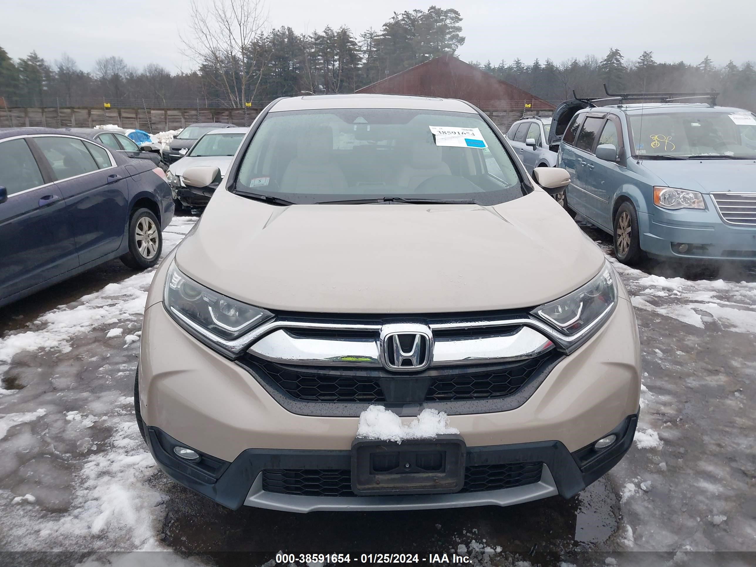 Photo 11 VIN: 5J6RW2H80HL024427 - HONDA CR-V 