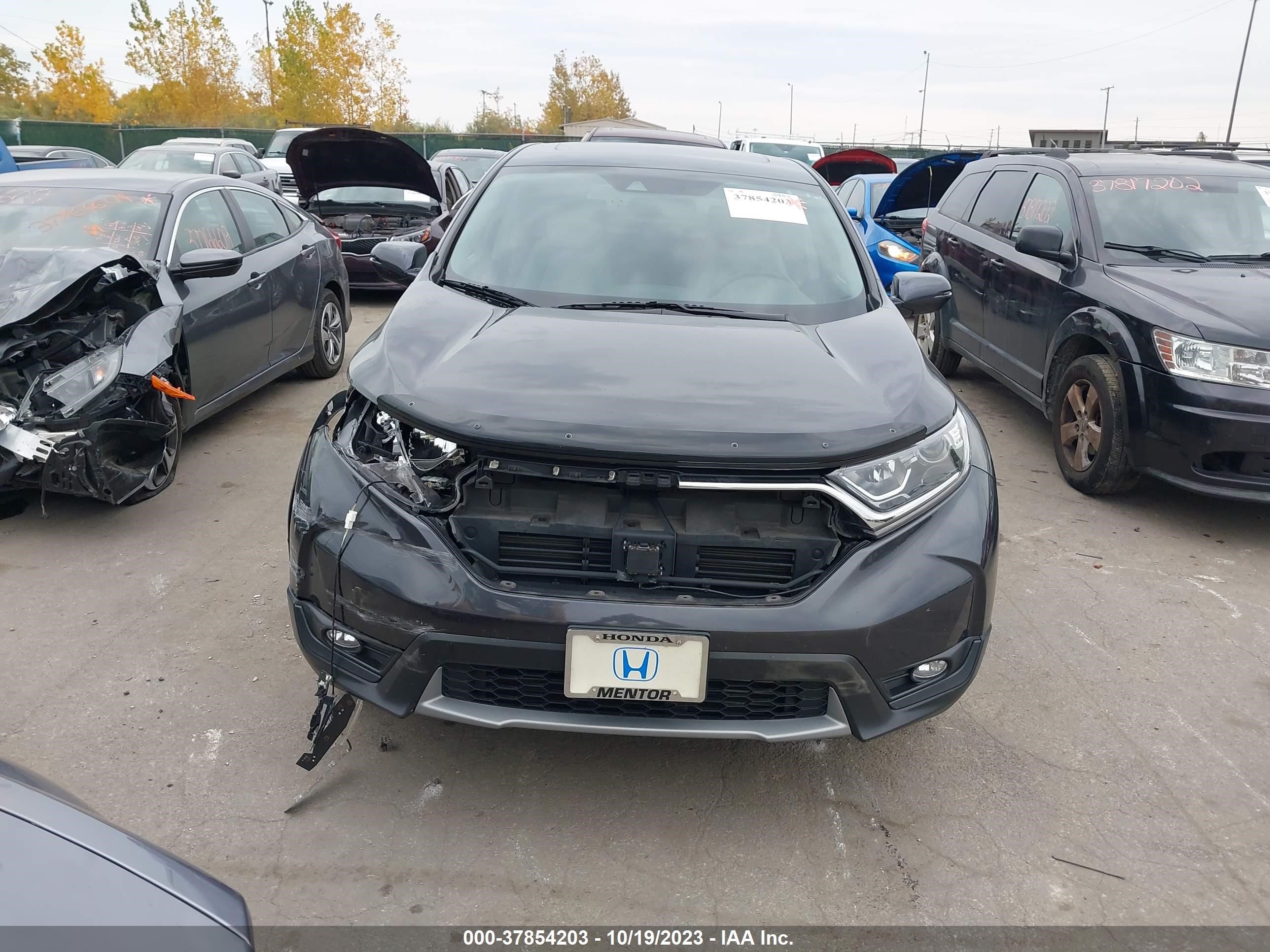 Photo 12 VIN: 5J6RW2H84HL007114 - HONDA CR-V 