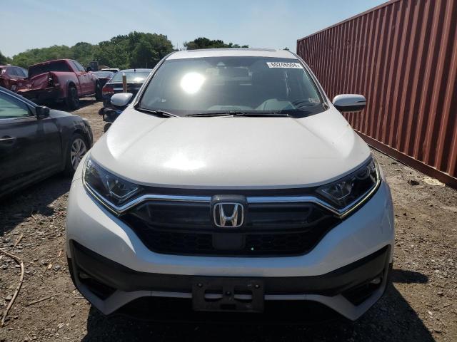 Photo 4 VIN: 5J6RW2H84LL006974 - HONDA CRV 