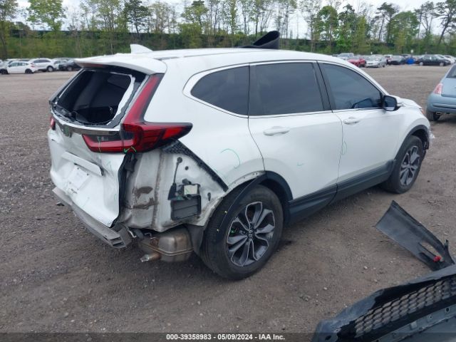 Photo 3 VIN: 5J6RW2H86LL019208 - HONDA CR-V 