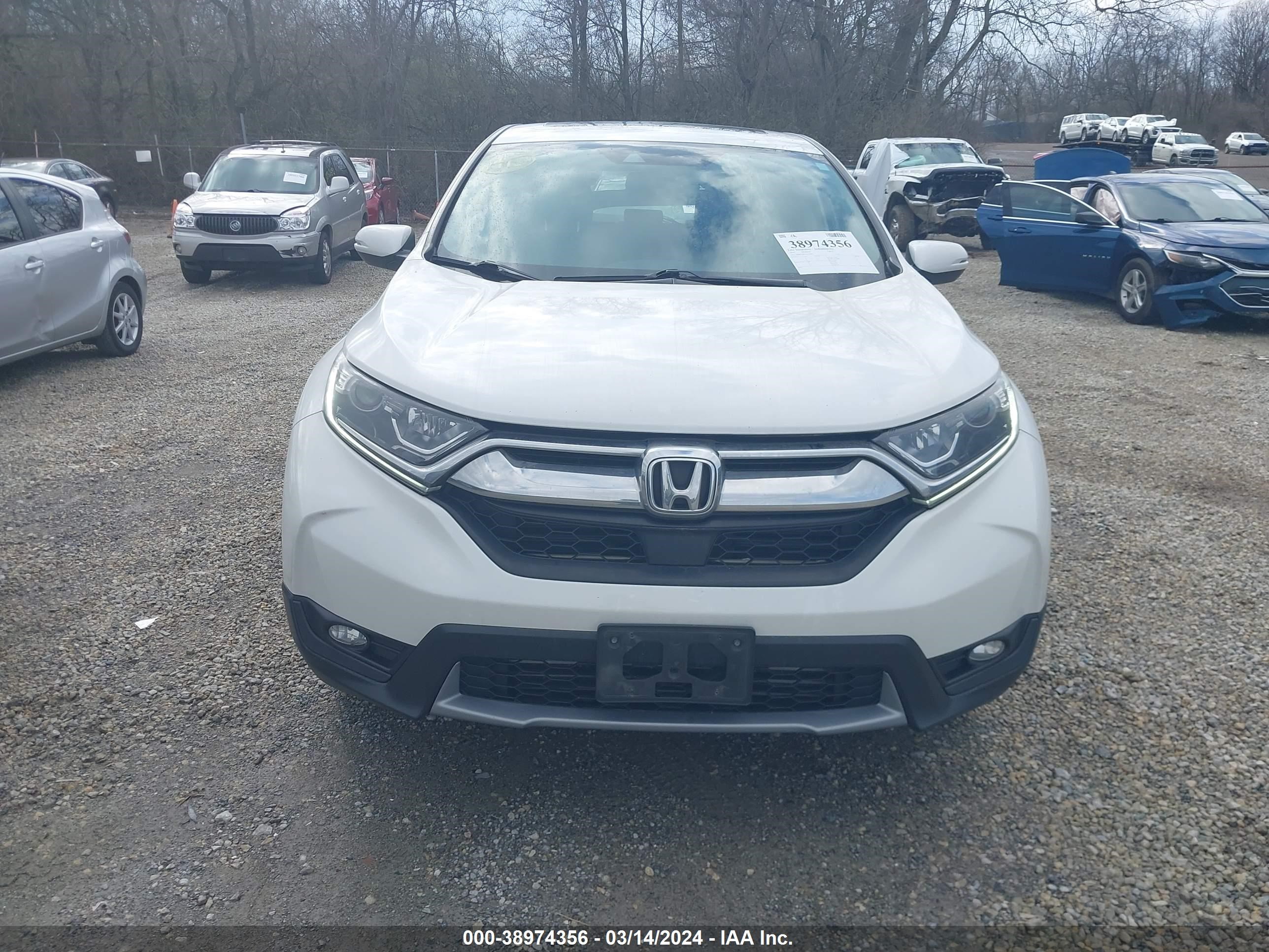 Photo 12 VIN: 5J6RW2H87KA016893 - HONDA CR-V 