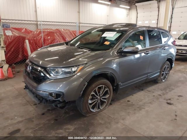 Photo 1 VIN: 5J6RW2H87LA005619 - HONDA CR-V 