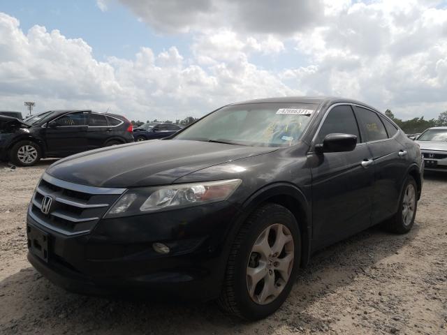 Photo 1 VIN: 5J6TF1H51CL004556 - HONDA CROSSTOUR 