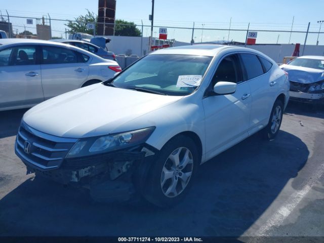 Photo 1 VIN: 5J6TF1H52CL007207 - HONDA CROSSTOUR 