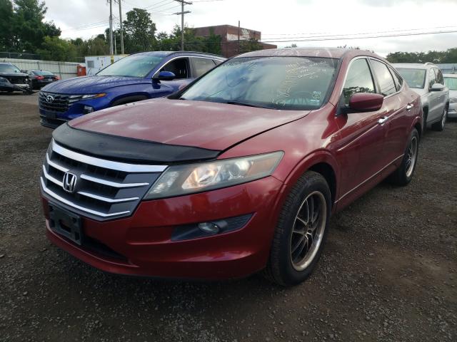 Photo 1 VIN: 5J6TF2H53AL005971 - HONDA ACCORD CRO 