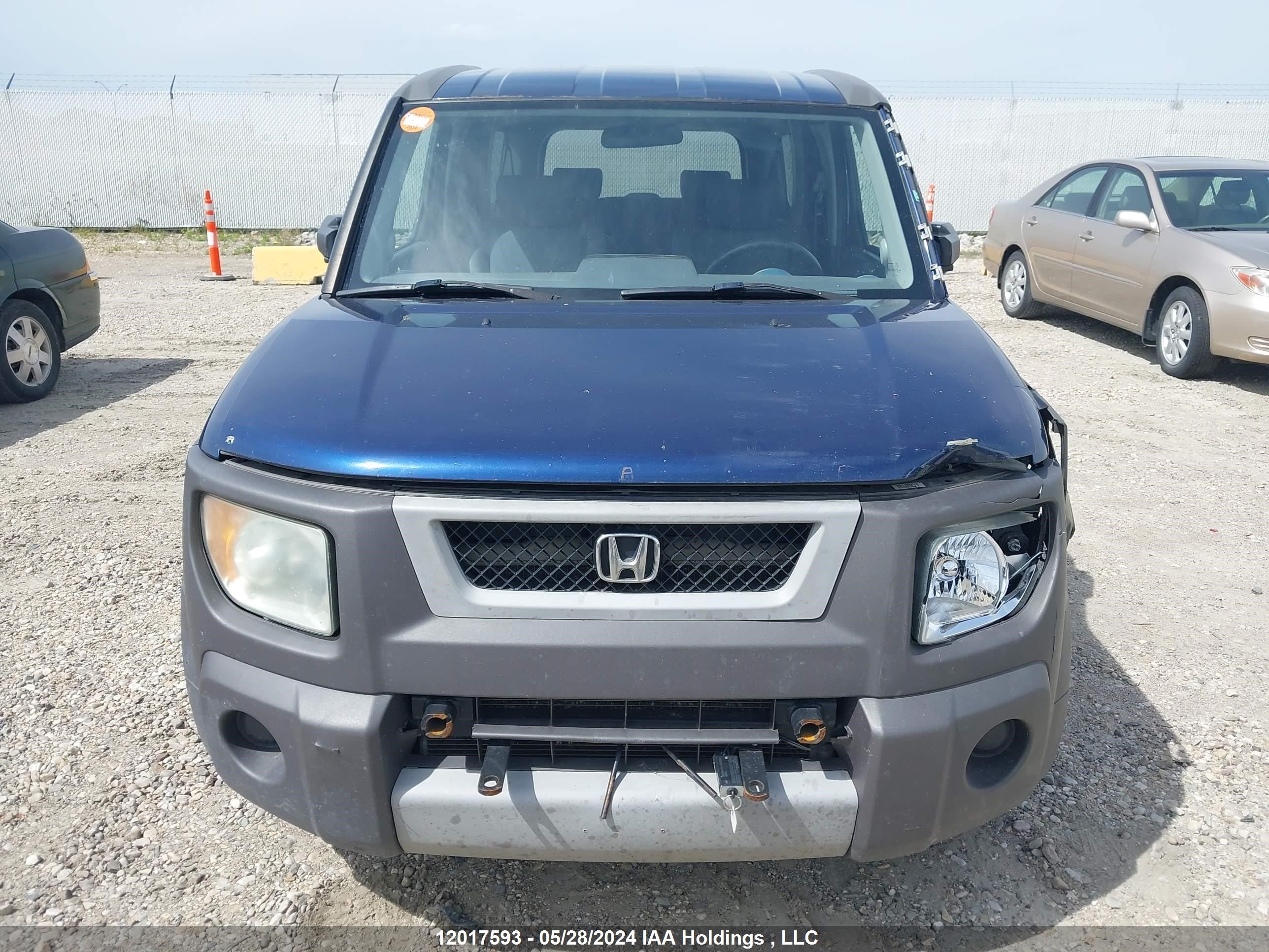 Photo 11 VIN: 5J6YH17573L801931 - HONDA ELEMENT 