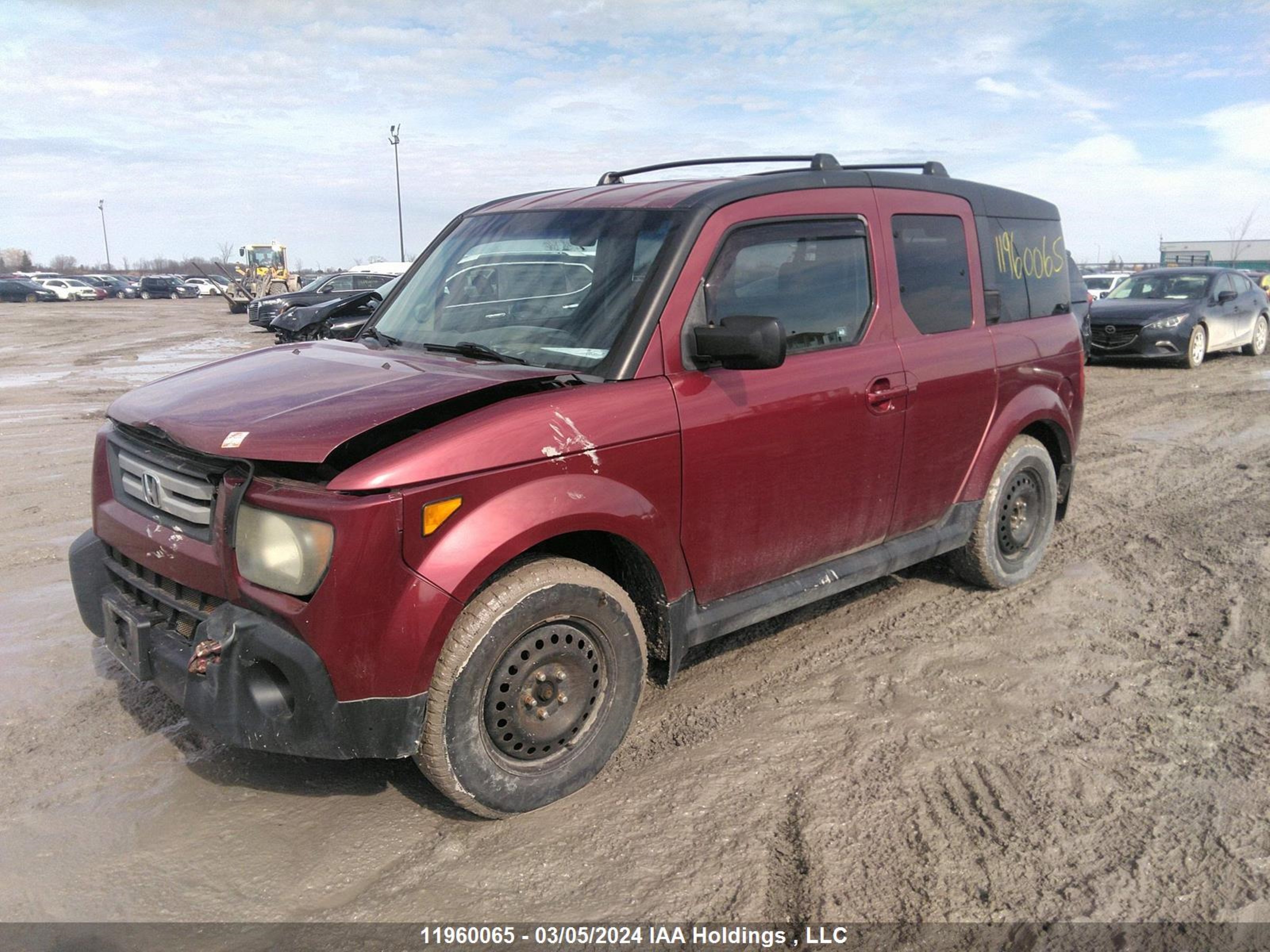 Photo 1 VIN: 5J6YH17777L800527 - HONDA ELEMENT 