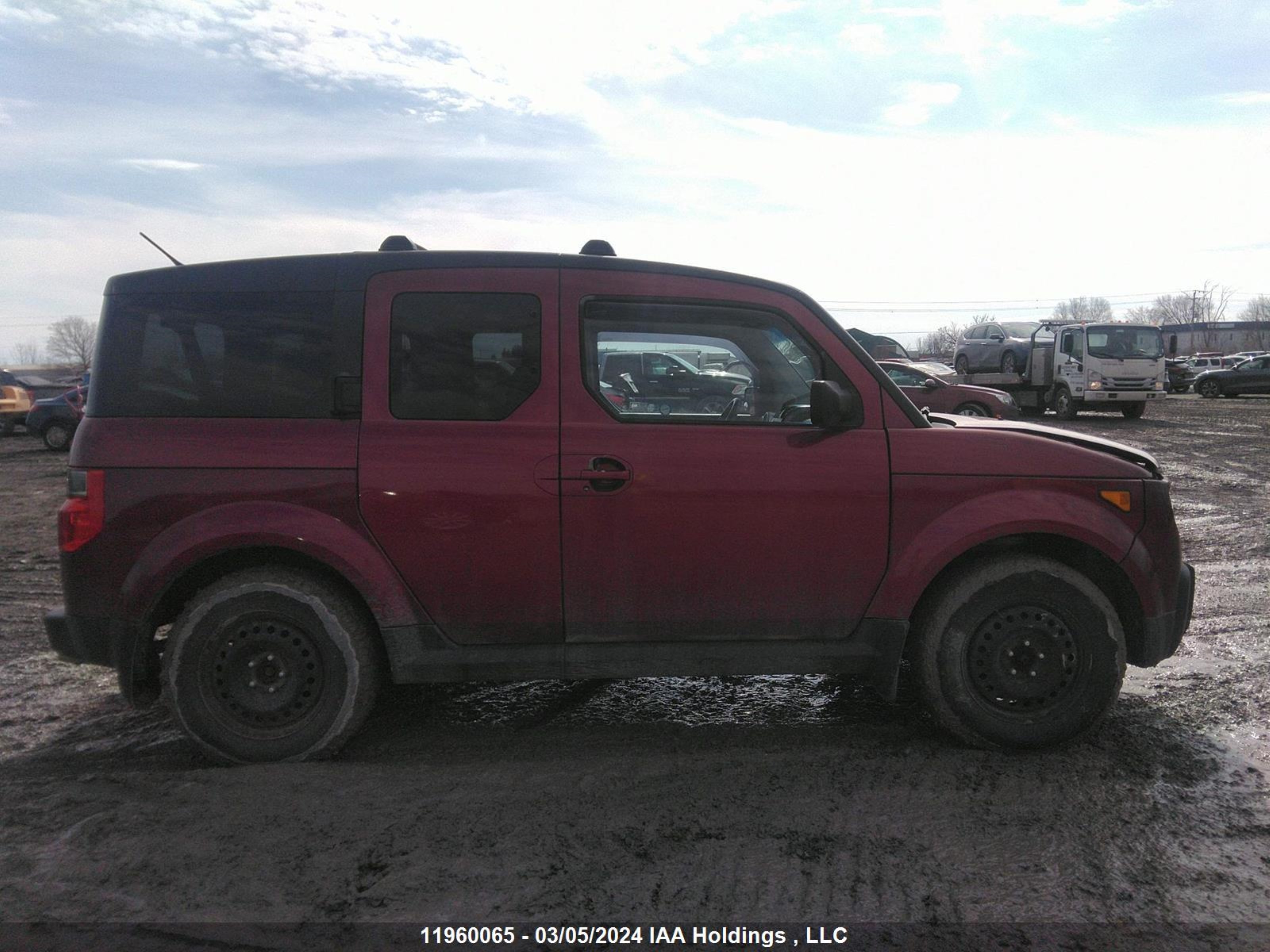 Photo 12 VIN: 5J6YH17777L800527 - HONDA ELEMENT 