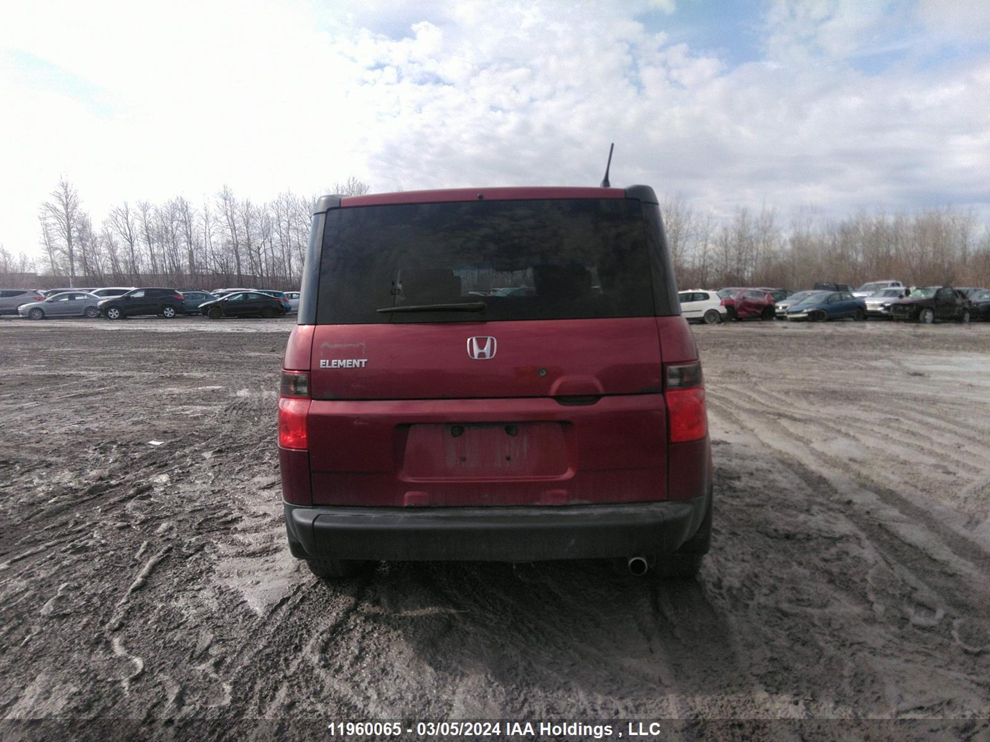 Photo 15 VIN: 5J6YH17777L800527 - HONDA ELEMENT 