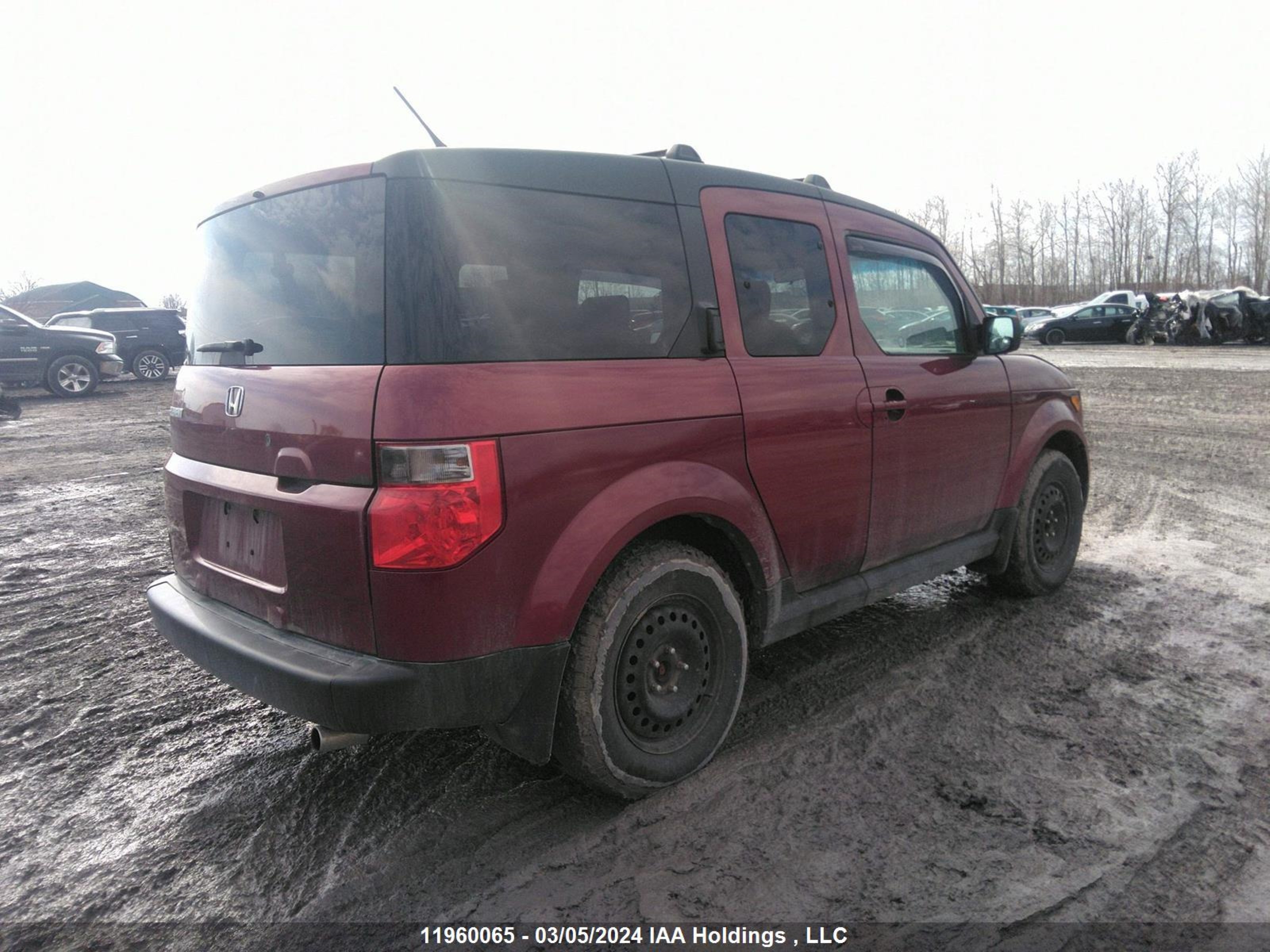 Photo 3 VIN: 5J6YH17777L800527 - HONDA ELEMENT 