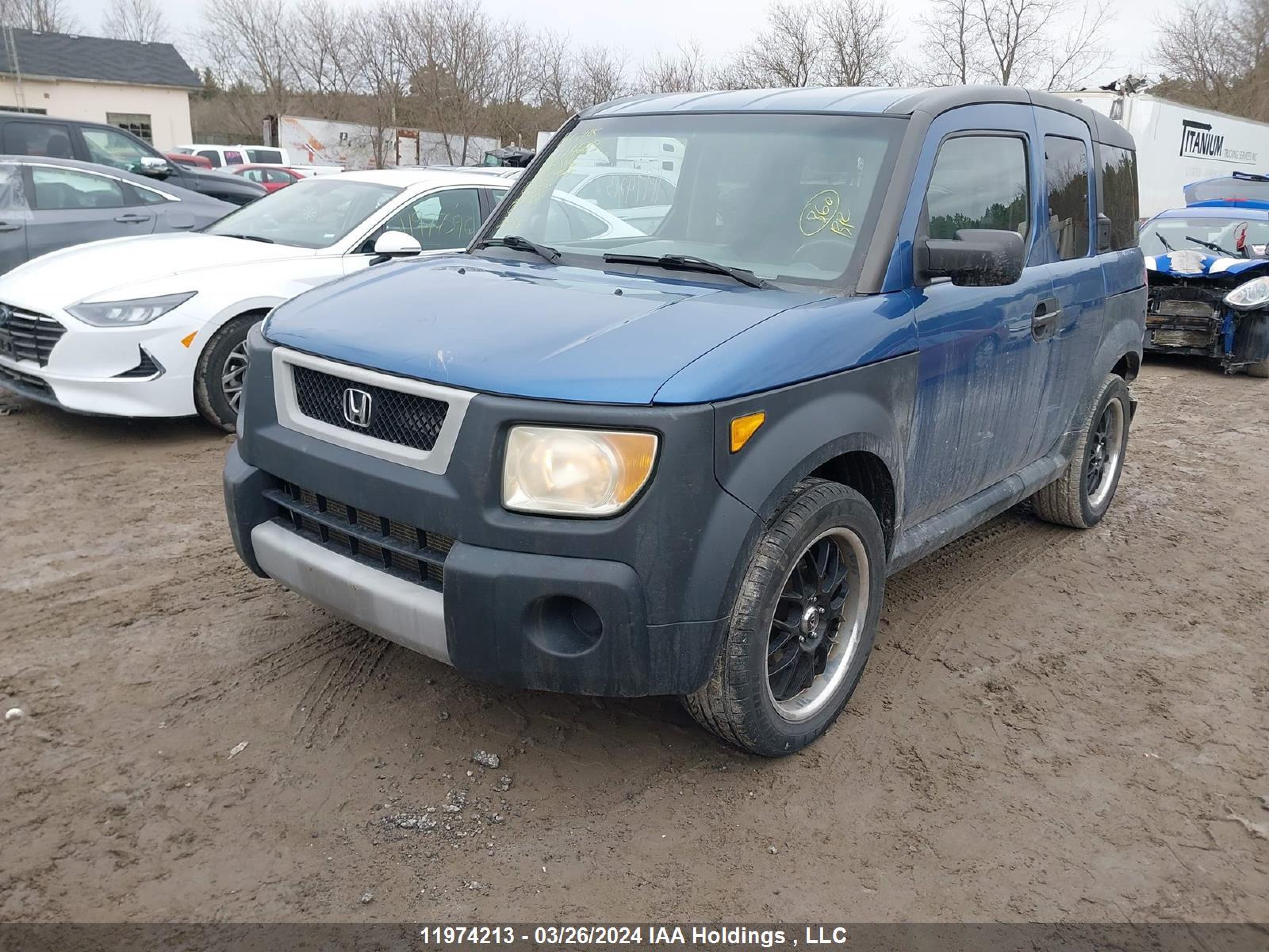 Photo 1 VIN: 5J6YH182X6L800846 - HONDA ELEMENT 