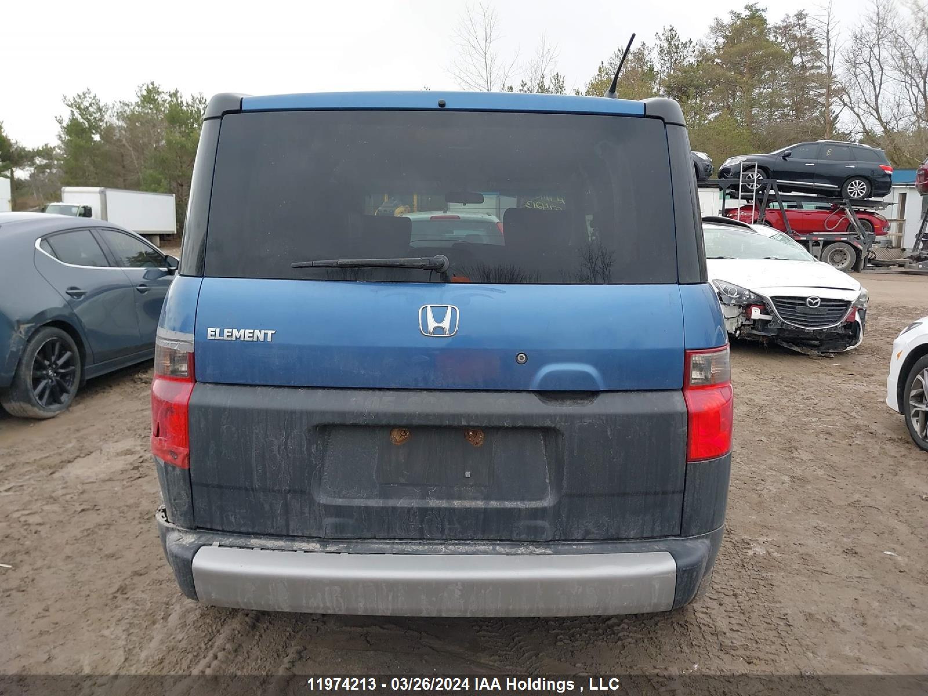 Photo 15 VIN: 5J6YH182X6L800846 - HONDA ELEMENT 