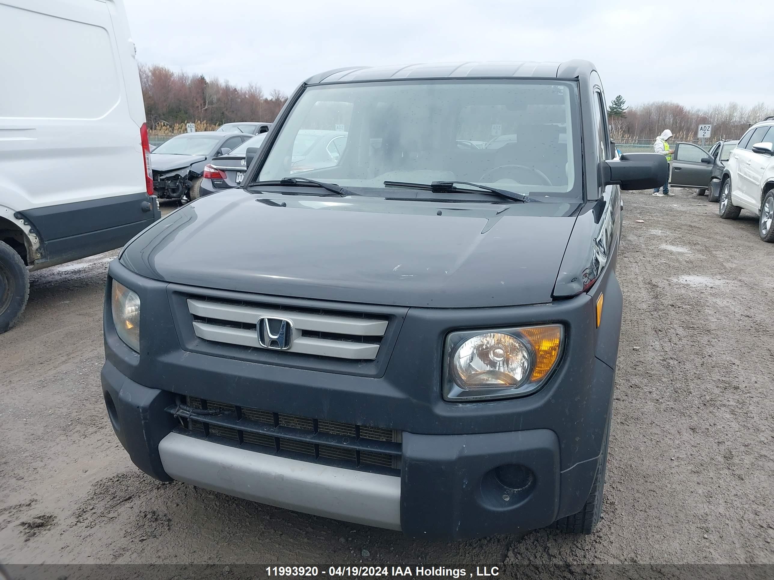 Photo 11 VIN: 5J6YH18397L800427 - HONDA ELEMENT 