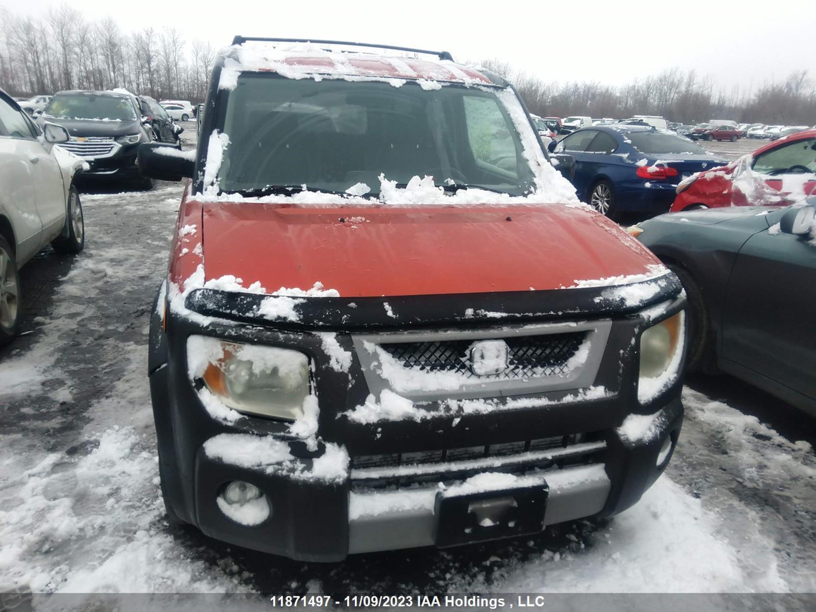 Photo 6 VIN: 5J6YH18563L801384 - HONDA ELEMENT 