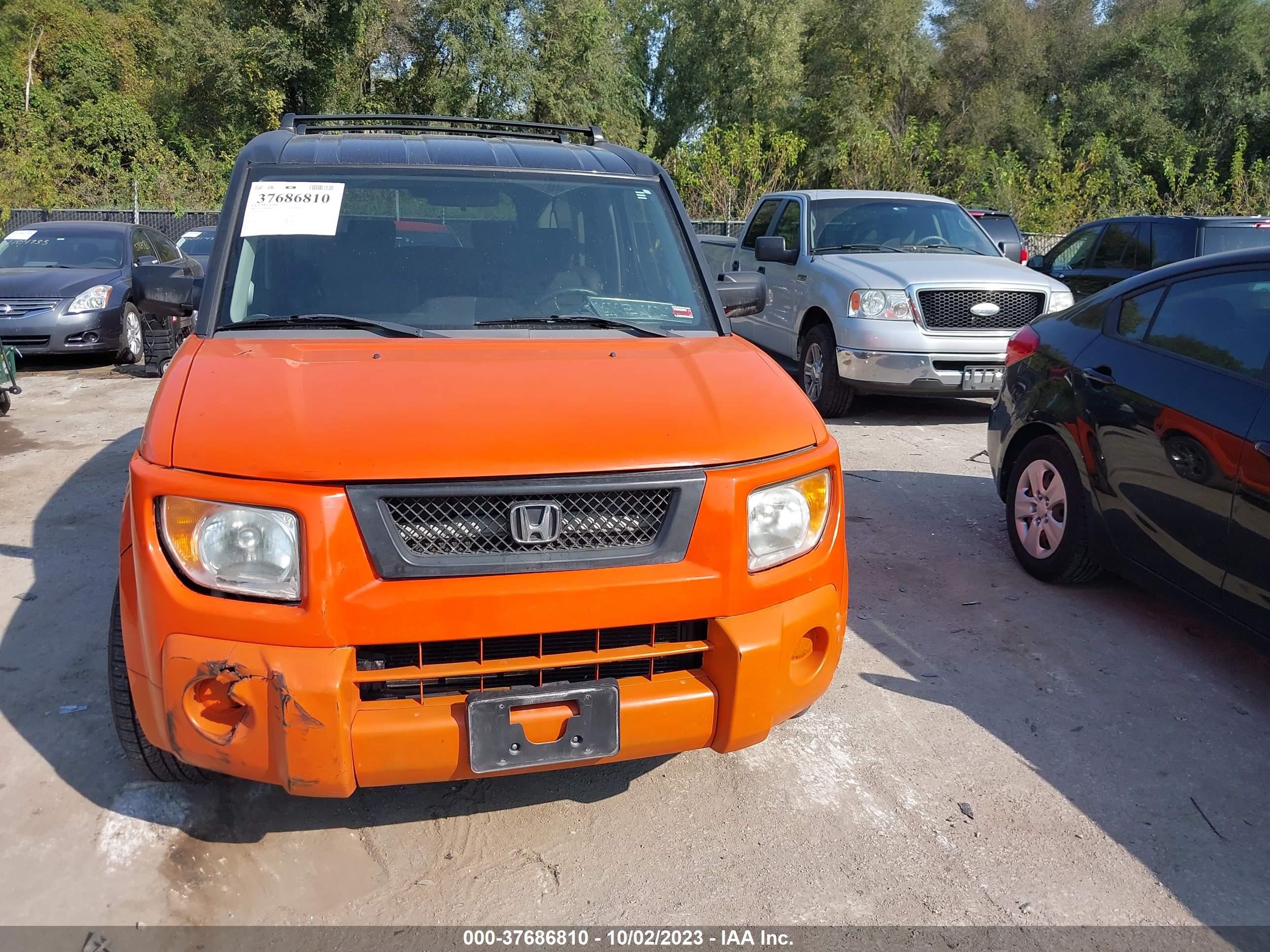 Photo 11 VIN: 5J6YH18726L016446 - HONDA ELEMENT 