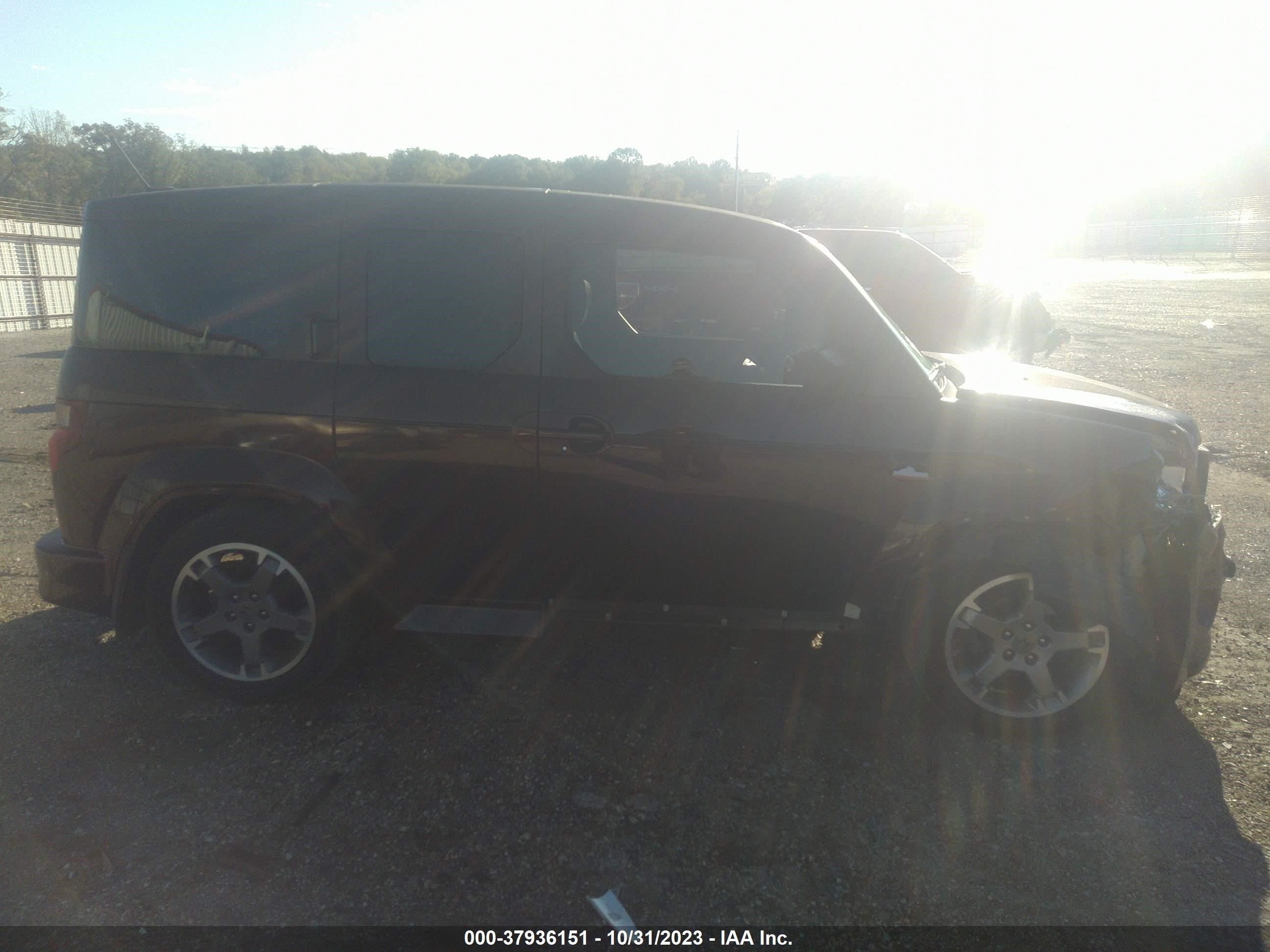 Photo 12 VIN: 5J6YH18959L000683 - HONDA ELEMENT 