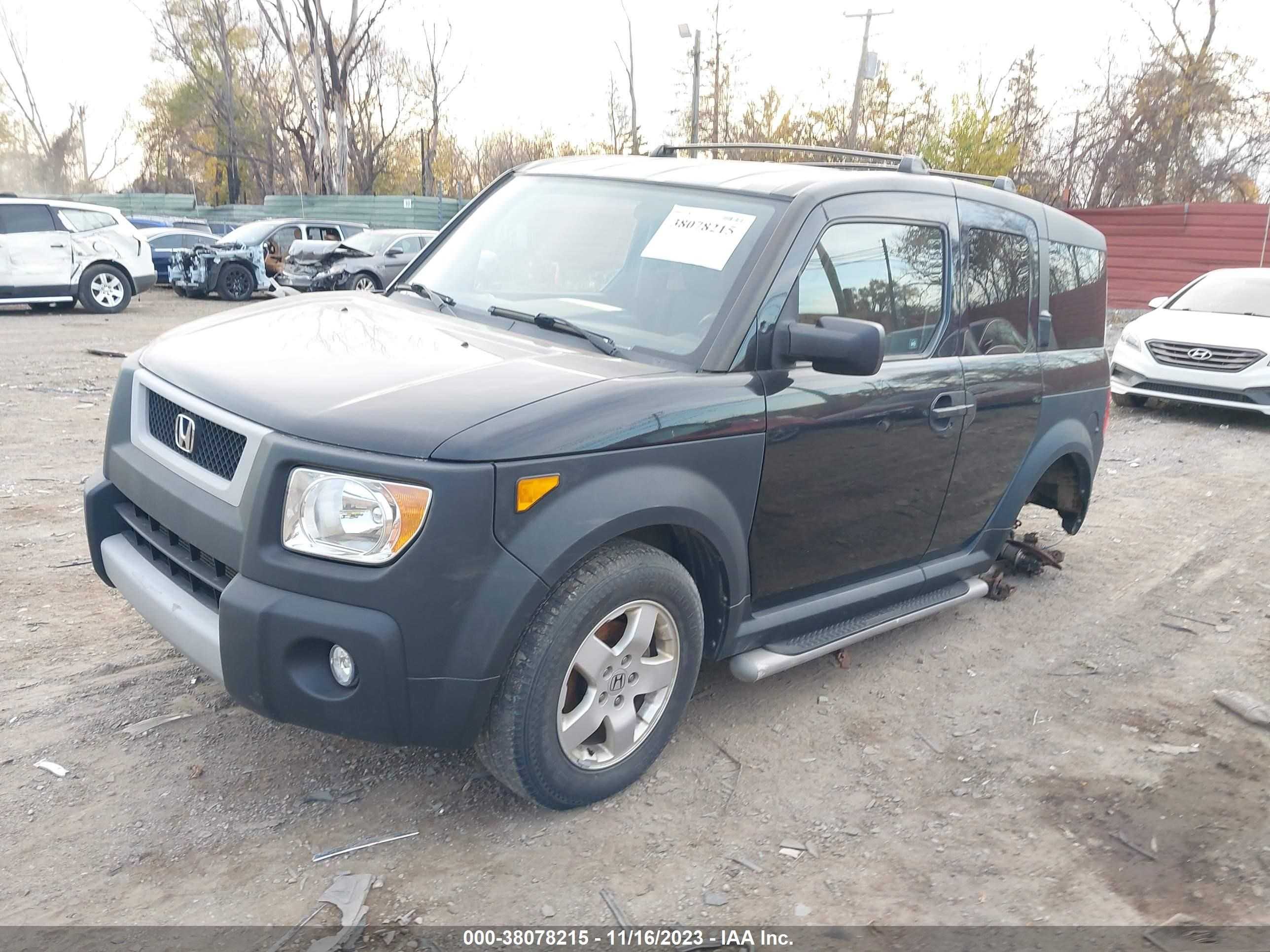 Photo 1 VIN: 5J6YH27695L023746 - HONDA ELEMENT 