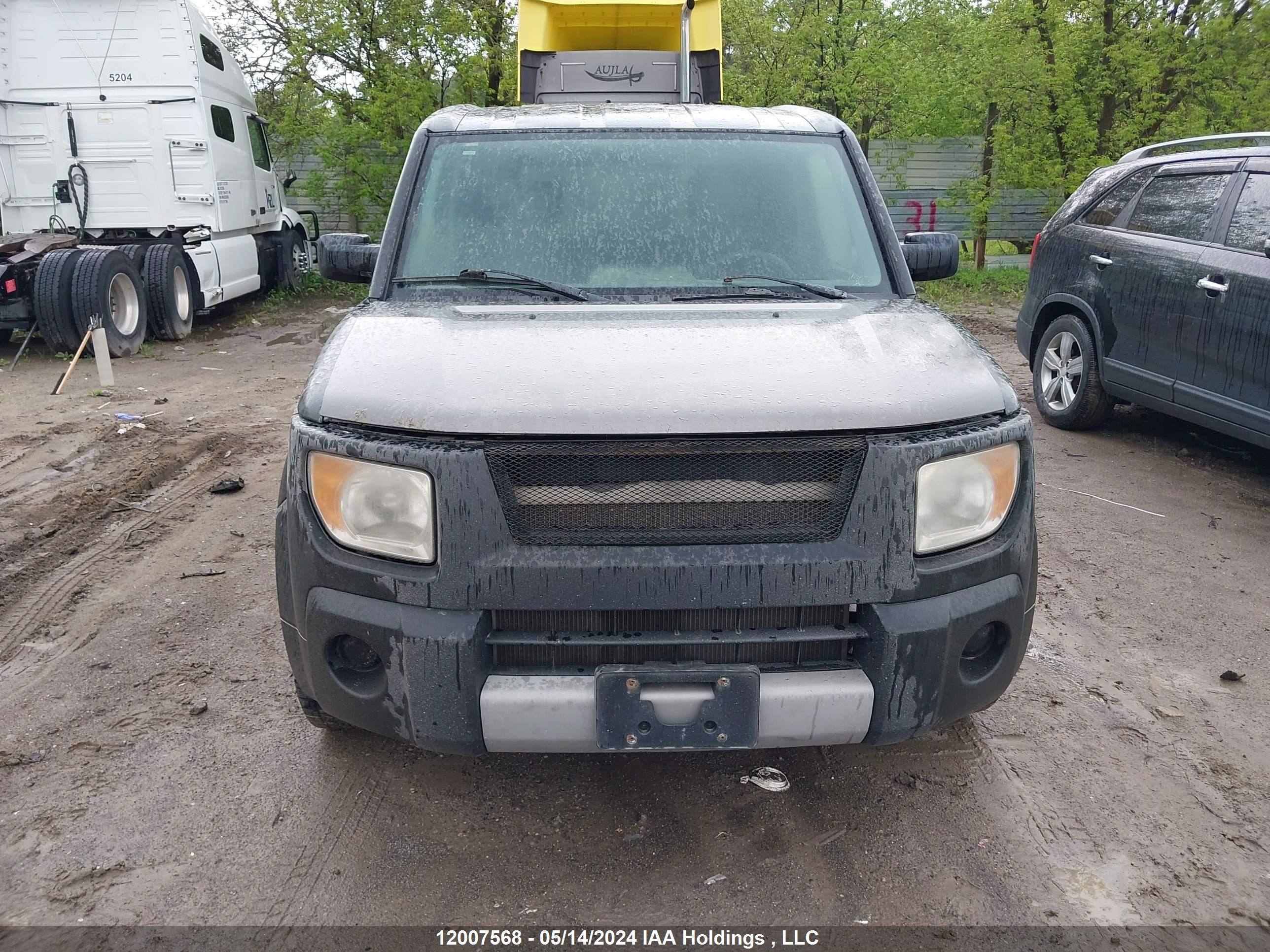 Photo 12 VIN: 5J6YH276X5L800788 - HONDA ELEMENT 