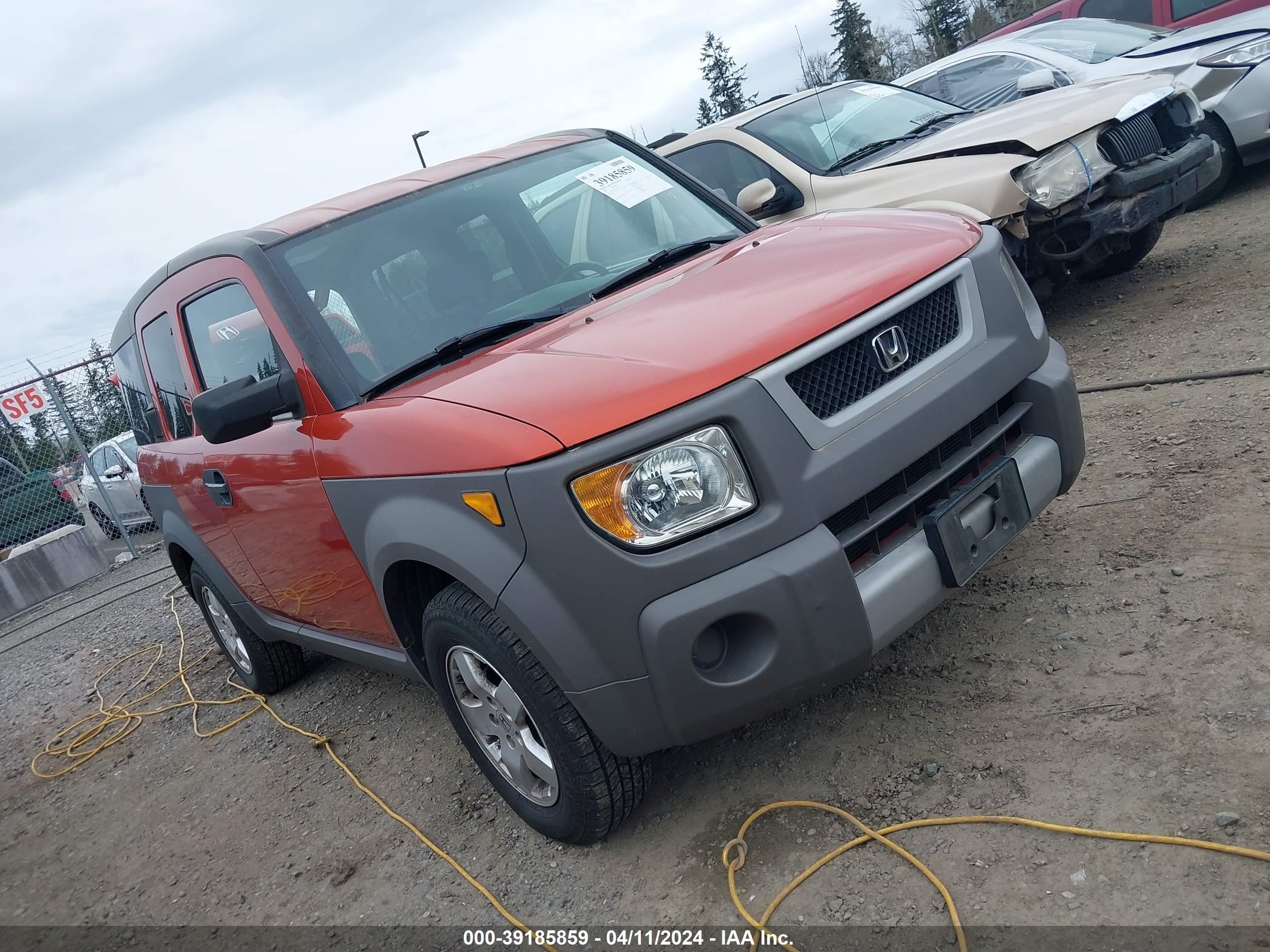 Photo 12 VIN: 5J6YH28523L031724 - HONDA ELEMENT 