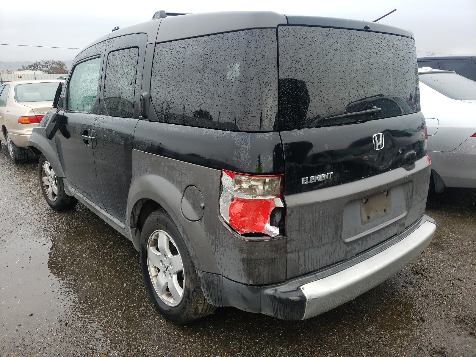 Photo 2 VIN: 5J6YH28564L019481 - HONDA ELEMENT EX 