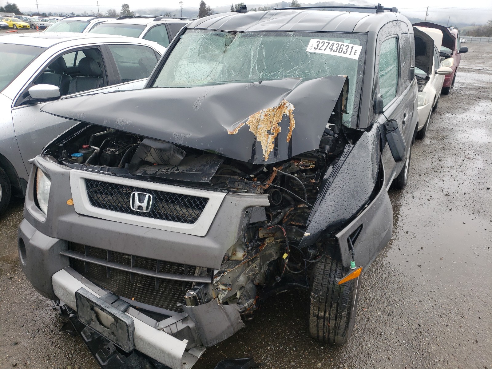 Photo 8 VIN: 5J6YH28564L019481 - HONDA ELEMENT EX 