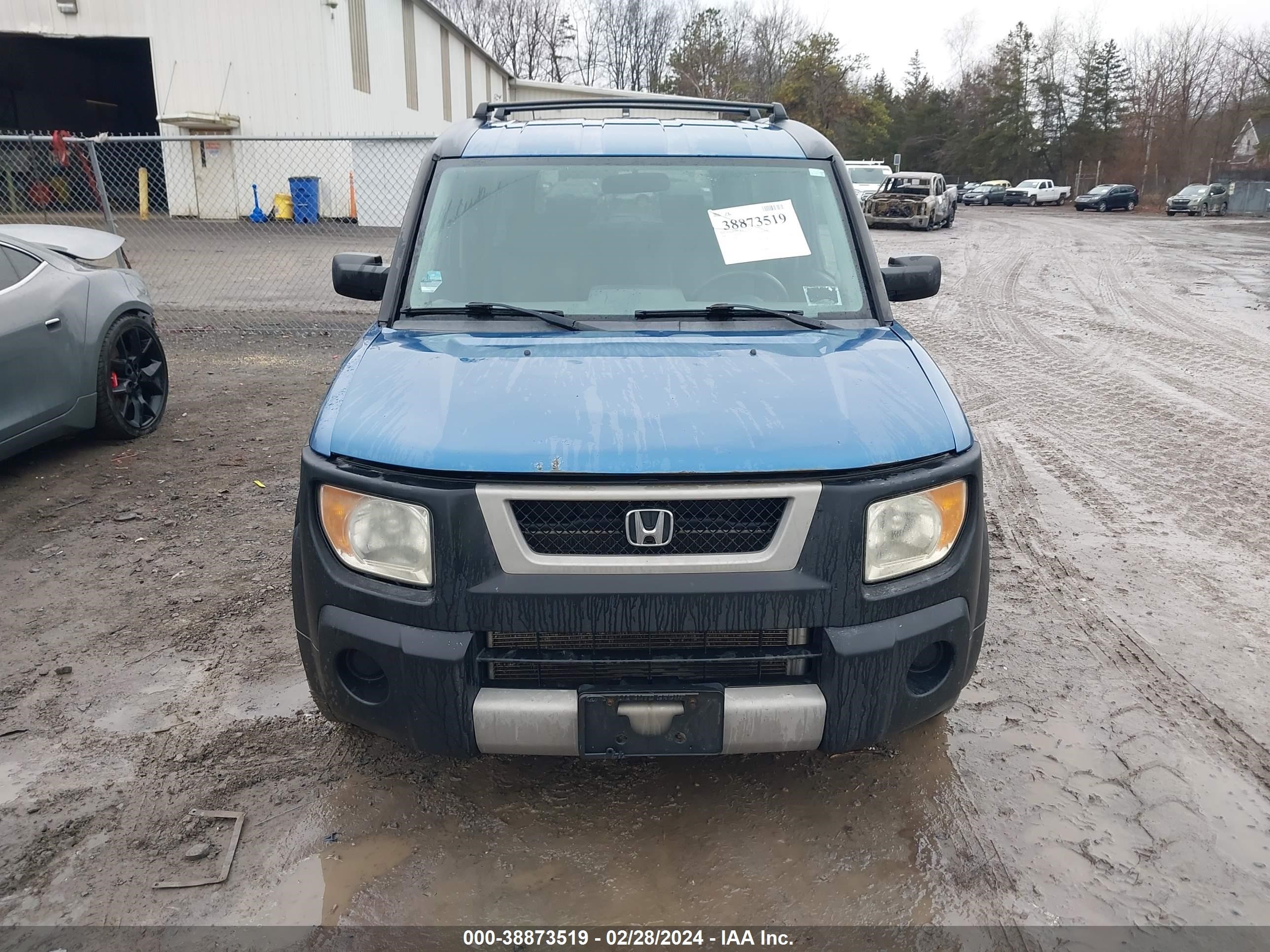 Photo 5 VIN: 5J6YH28636L011141 - HONDA ELEMENT 