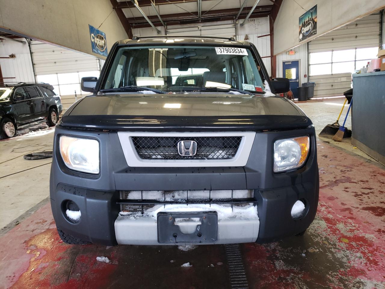 Photo 4 VIN: 5J6YH28685L033117 - HONDA ELEMENT 