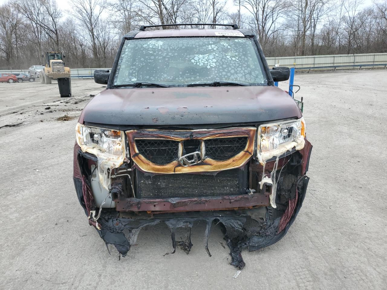 Photo 4 VIN: 5J6YH28709L004113 - HONDA ELEMENT 