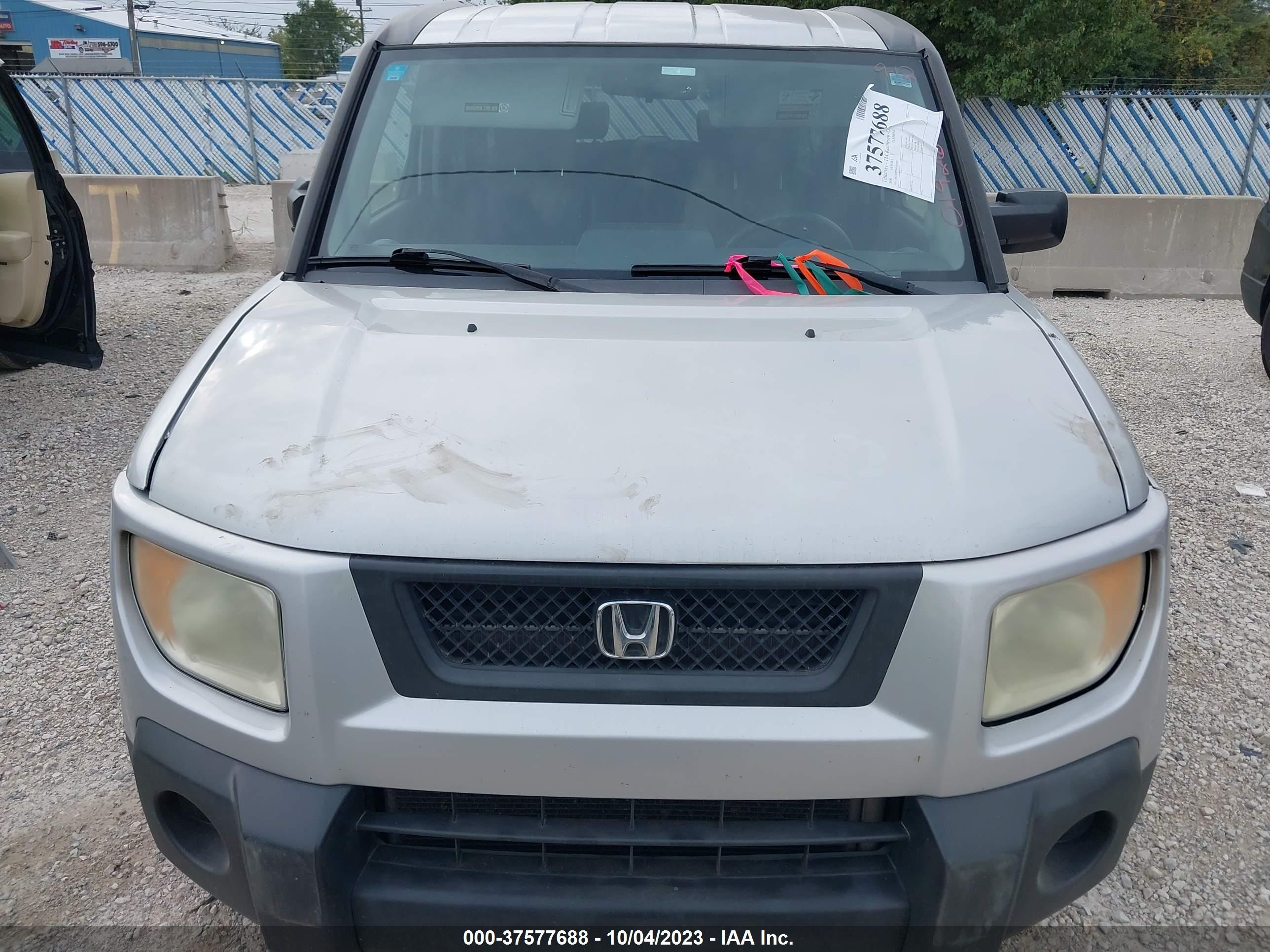 Photo 5 VIN: 5J6YH28726L019269 - HONDA ELEMENT 