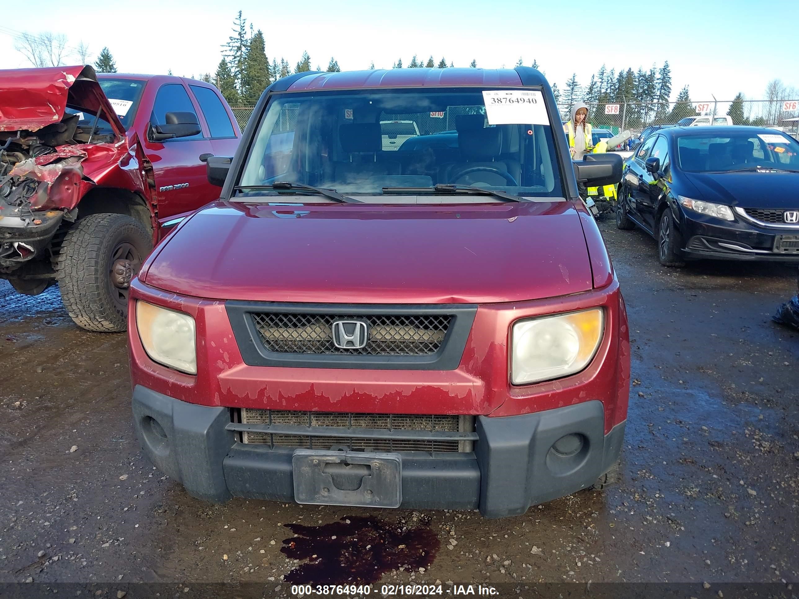 Photo 11 VIN: 5J6YH28746L001601 - HONDA ELEMENT 