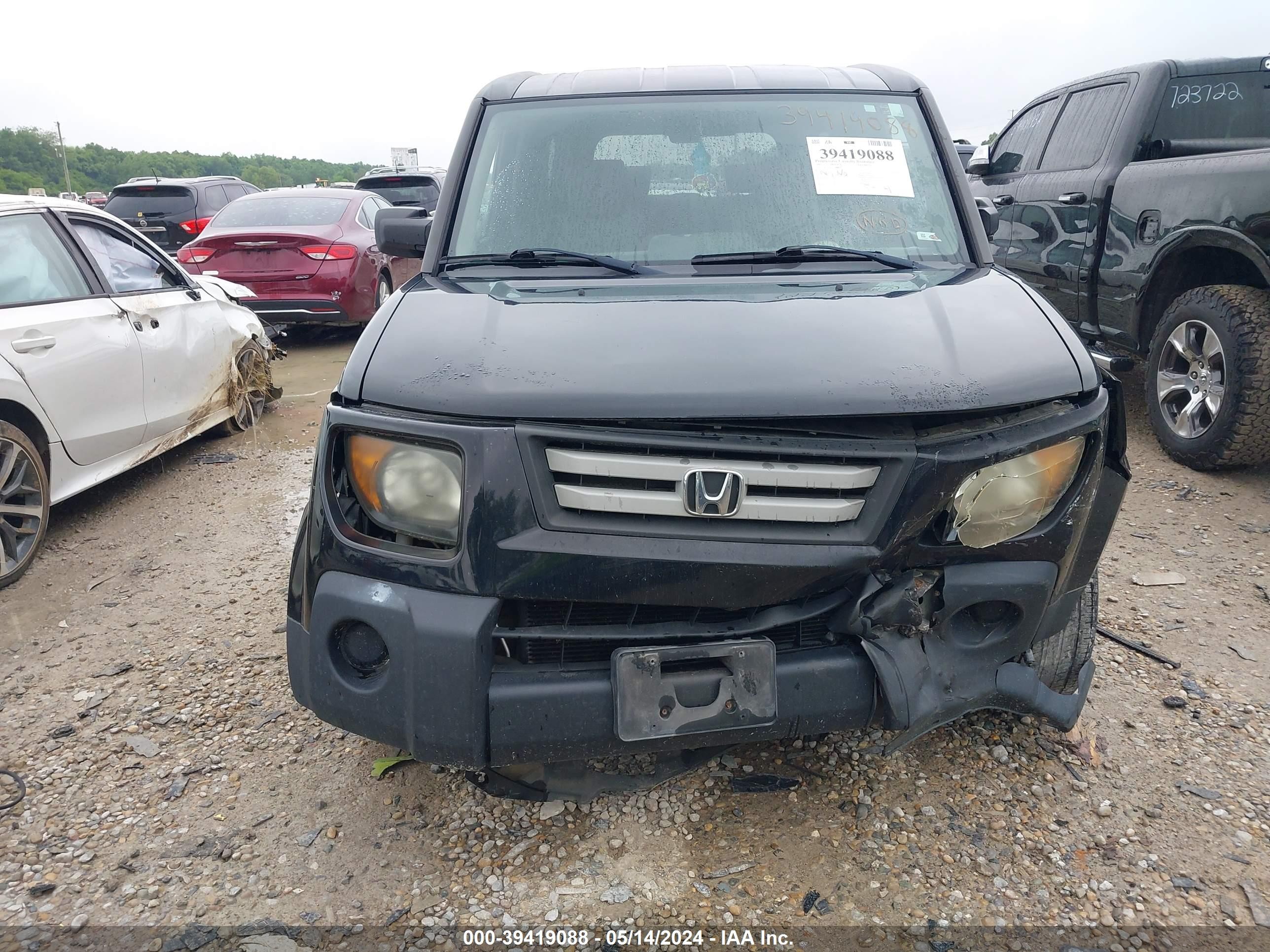 Photo 5 VIN: 5J6YH28757L015167 - HONDA ELEMENT 