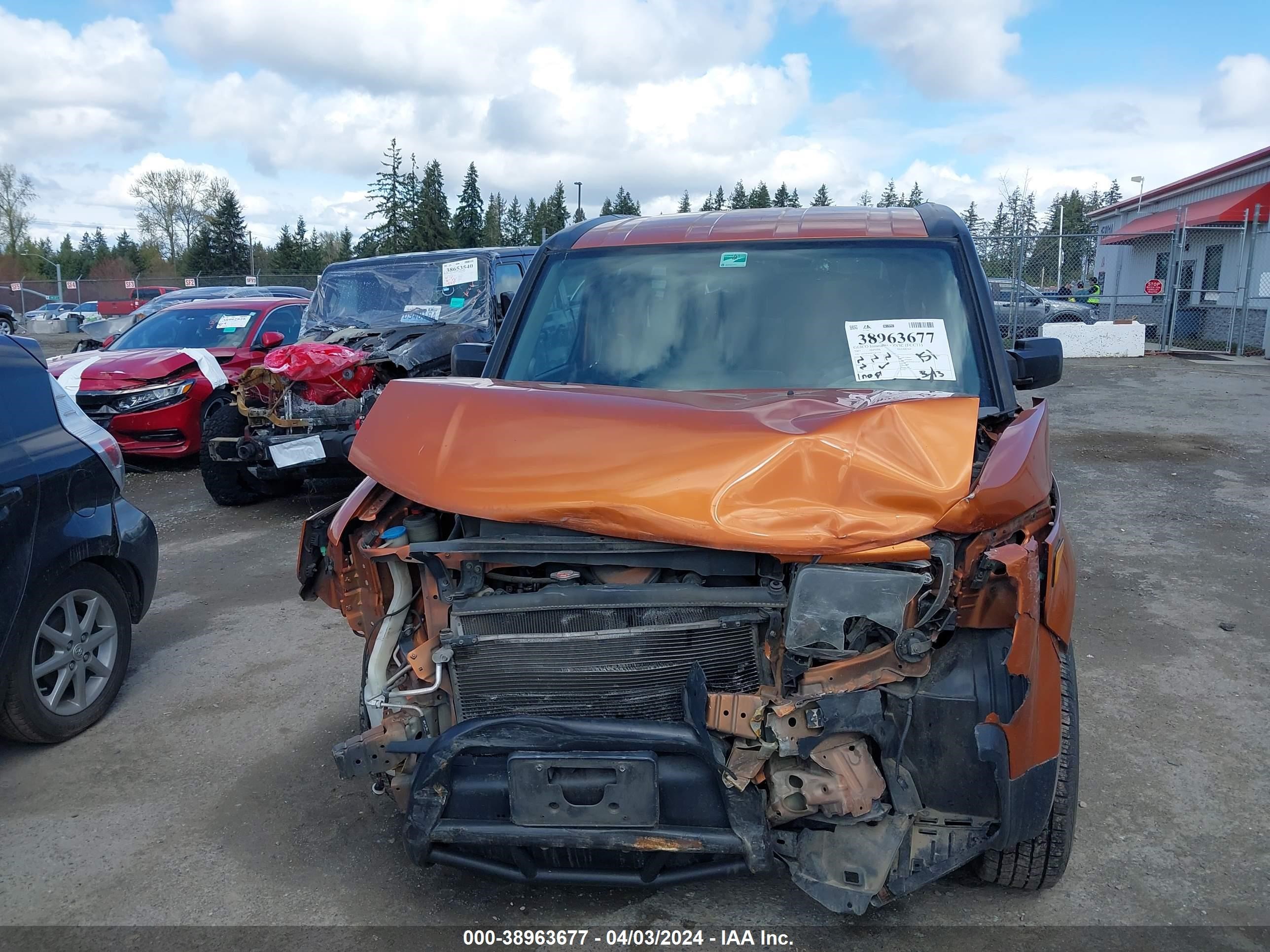 Photo 5 VIN: 5J6YH28787L015776 - HONDA ELEMENT 