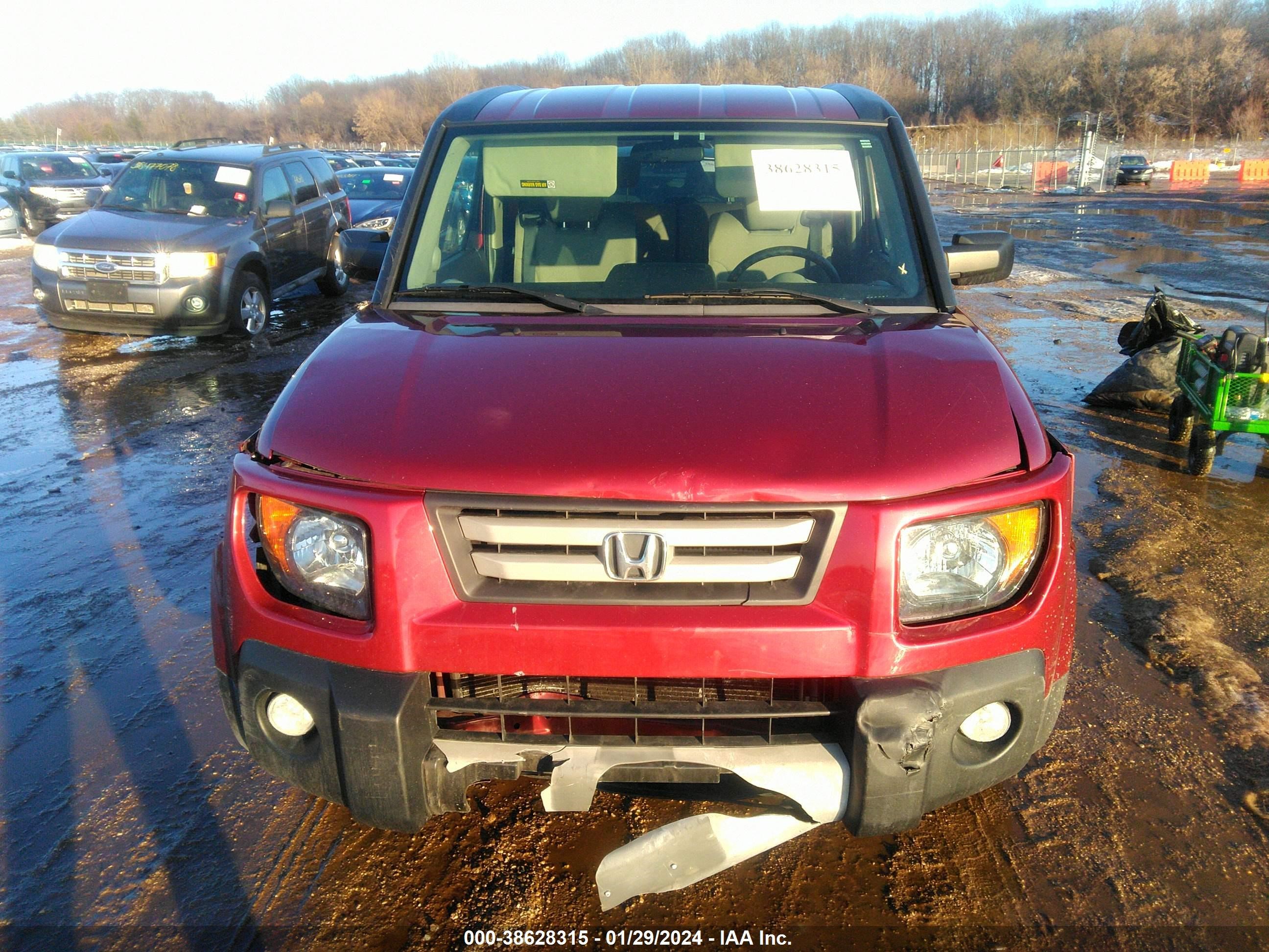 Photo 10 VIN: 5J6YH28788L009123 - HONDA ELEMENT 