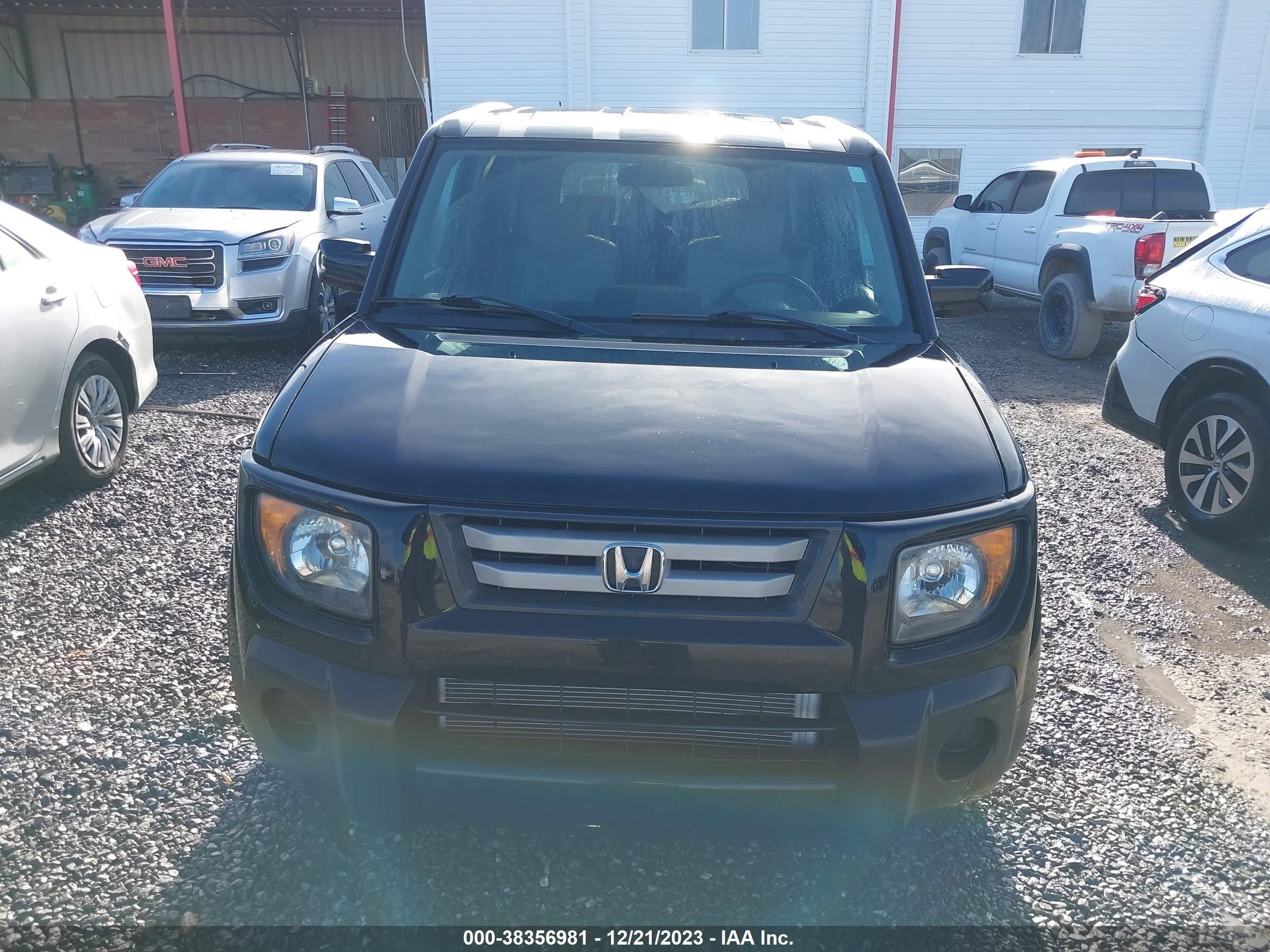 Photo 12 VIN: 5J6YH28788L014841 - HONDA ELEMENT 