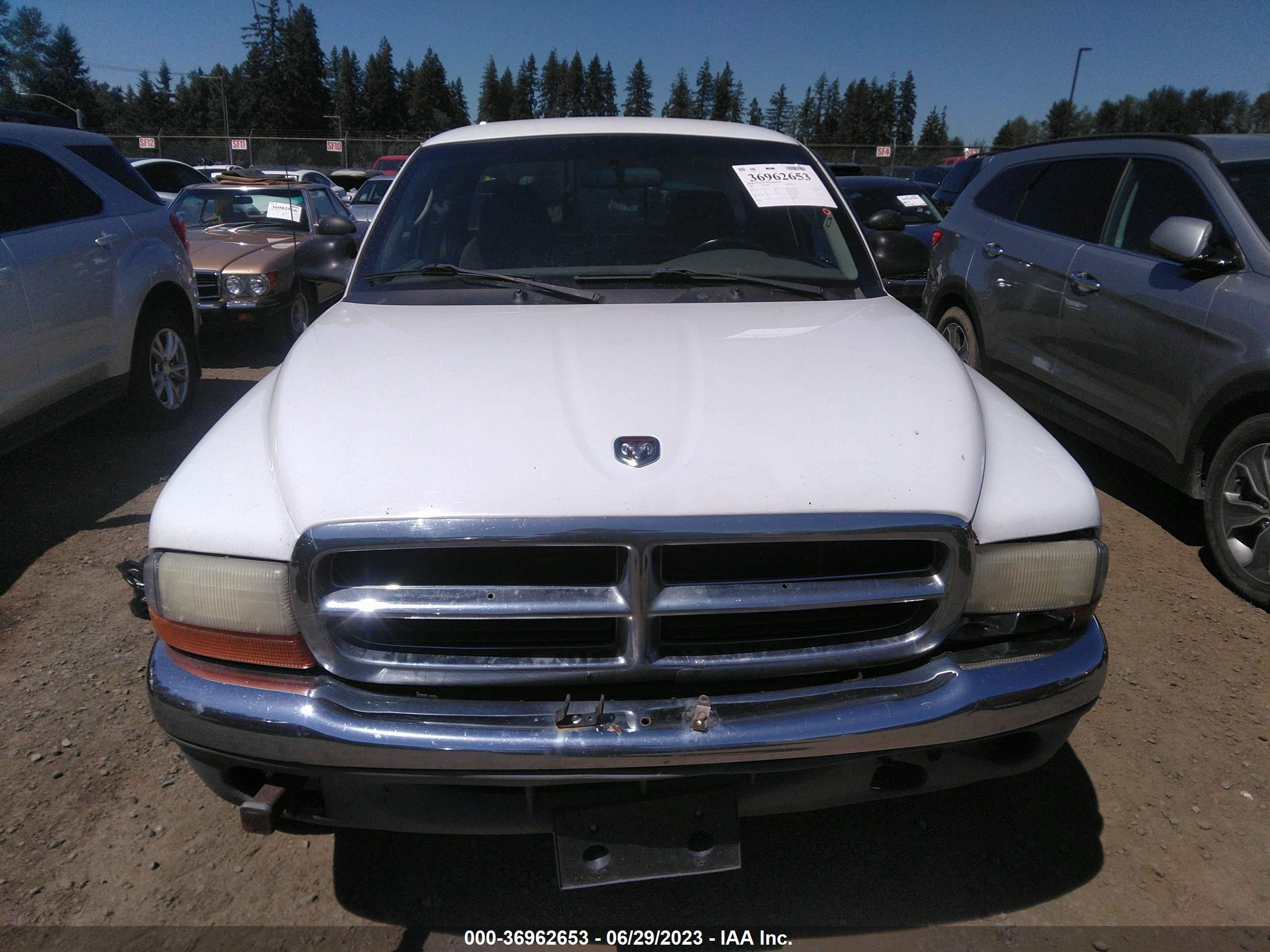 Photo 11 VIN: 5J8TB18519A004208 - DODGE DAKOTA 