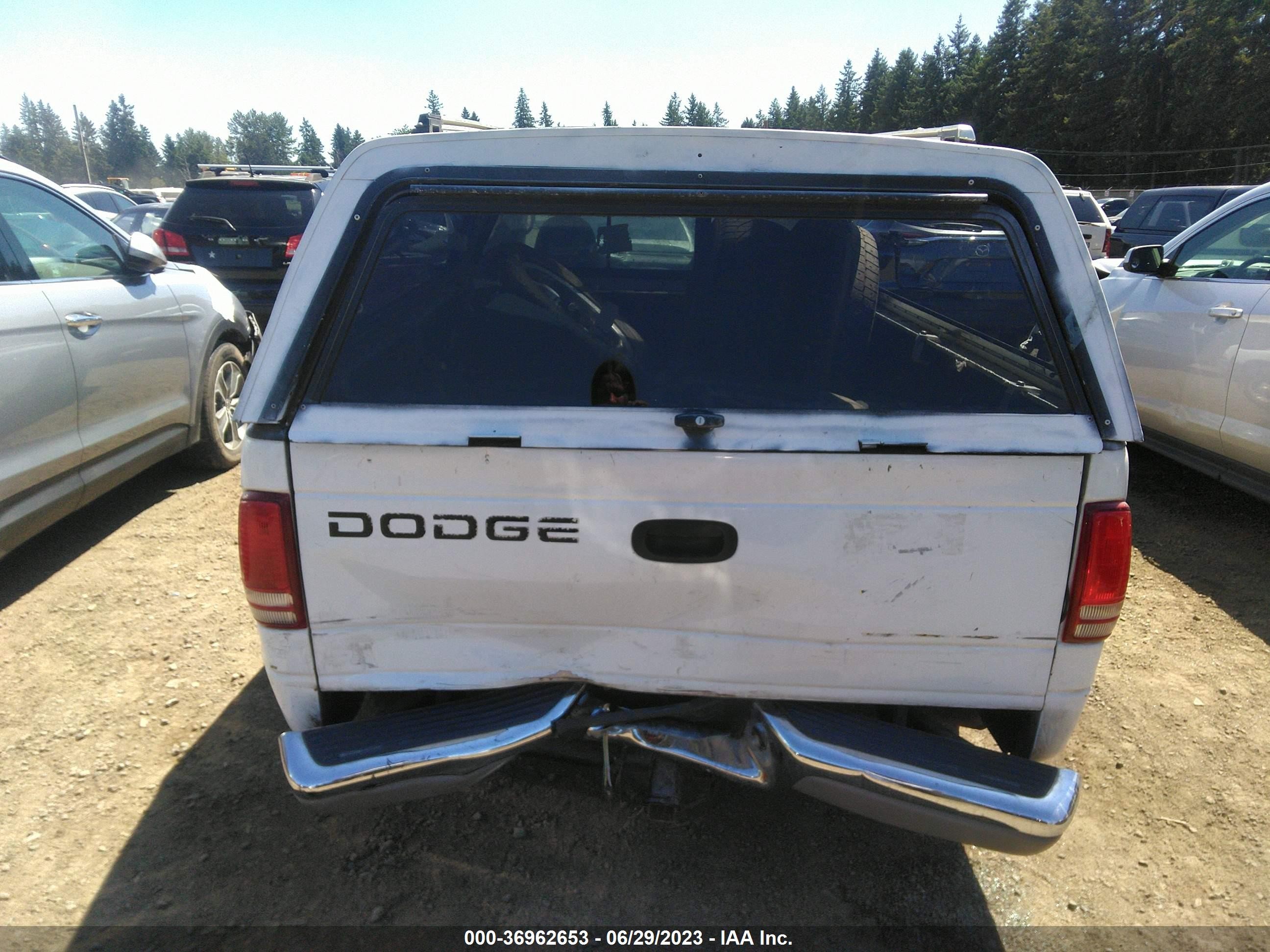 Photo 15 VIN: 5J8TB18519A004208 - DODGE DAKOTA 