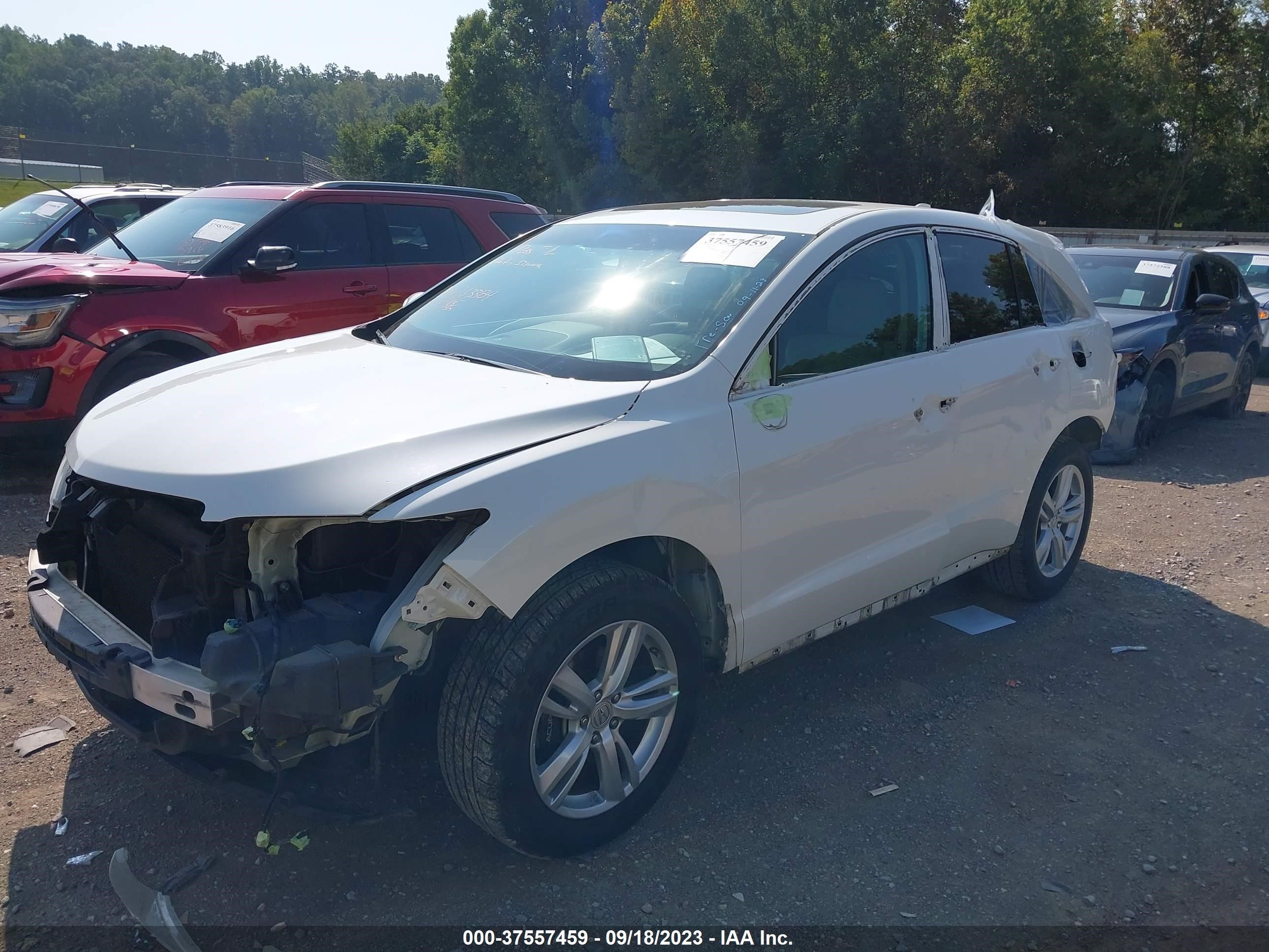 Photo 1 VIN: 5J8TB3H59DL003462 - ACURA RDX 