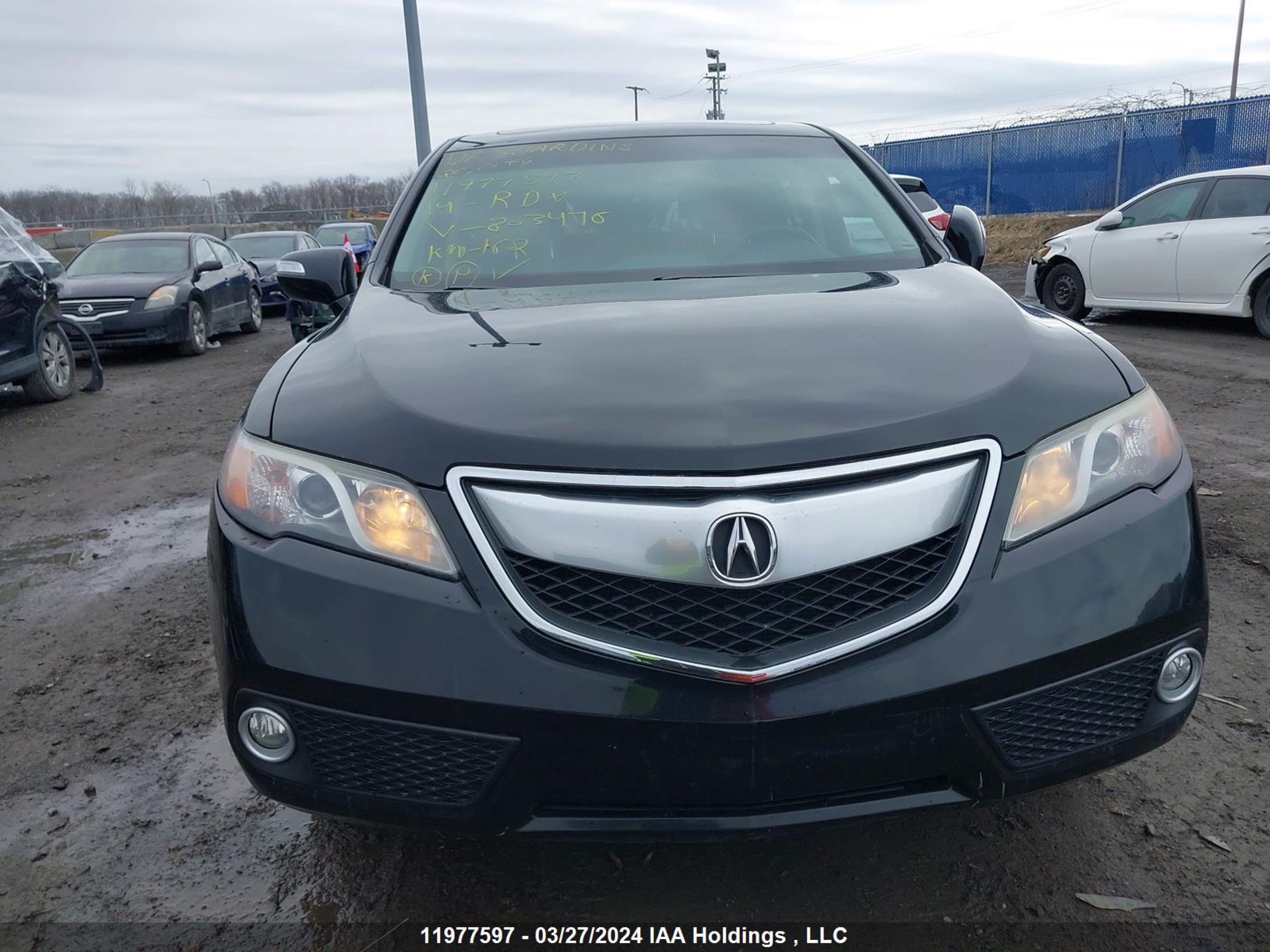 Photo 11 VIN: 5J8TB4H32EL803476 - ACURA RDX 