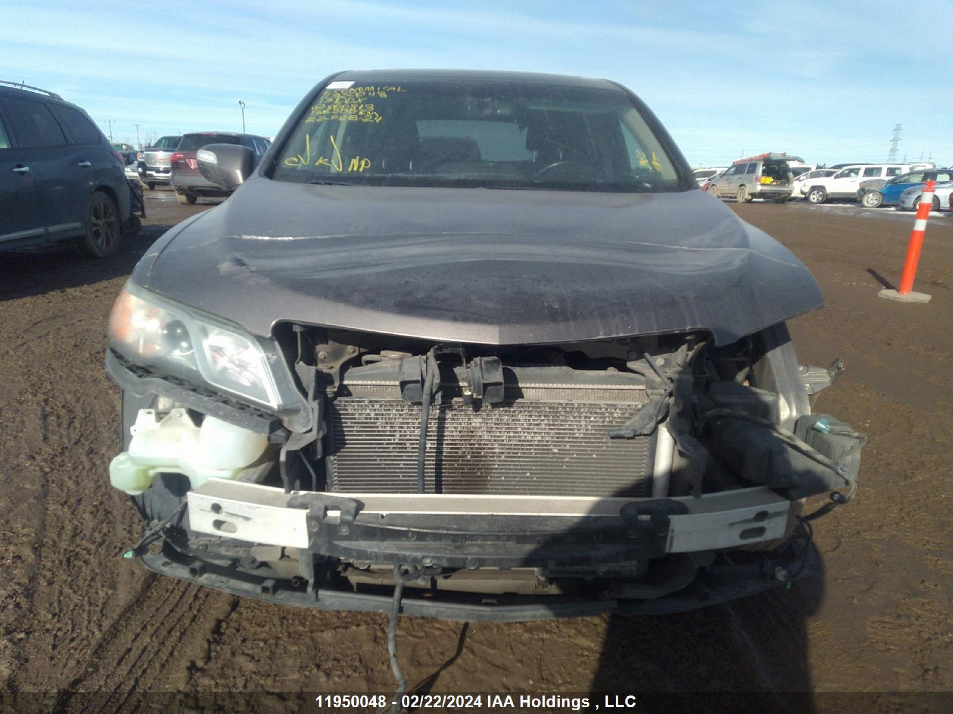 Photo 12 VIN: 5J8TB4H51DL800813 - ACURA RDX 