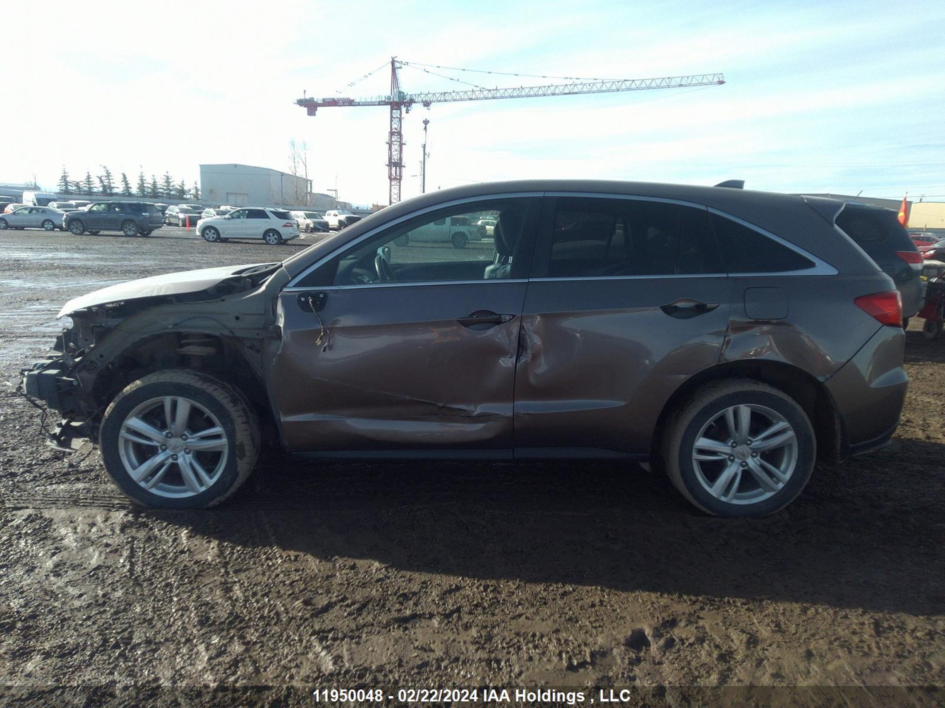 Photo 14 VIN: 5J8TB4H51DL800813 - ACURA RDX 