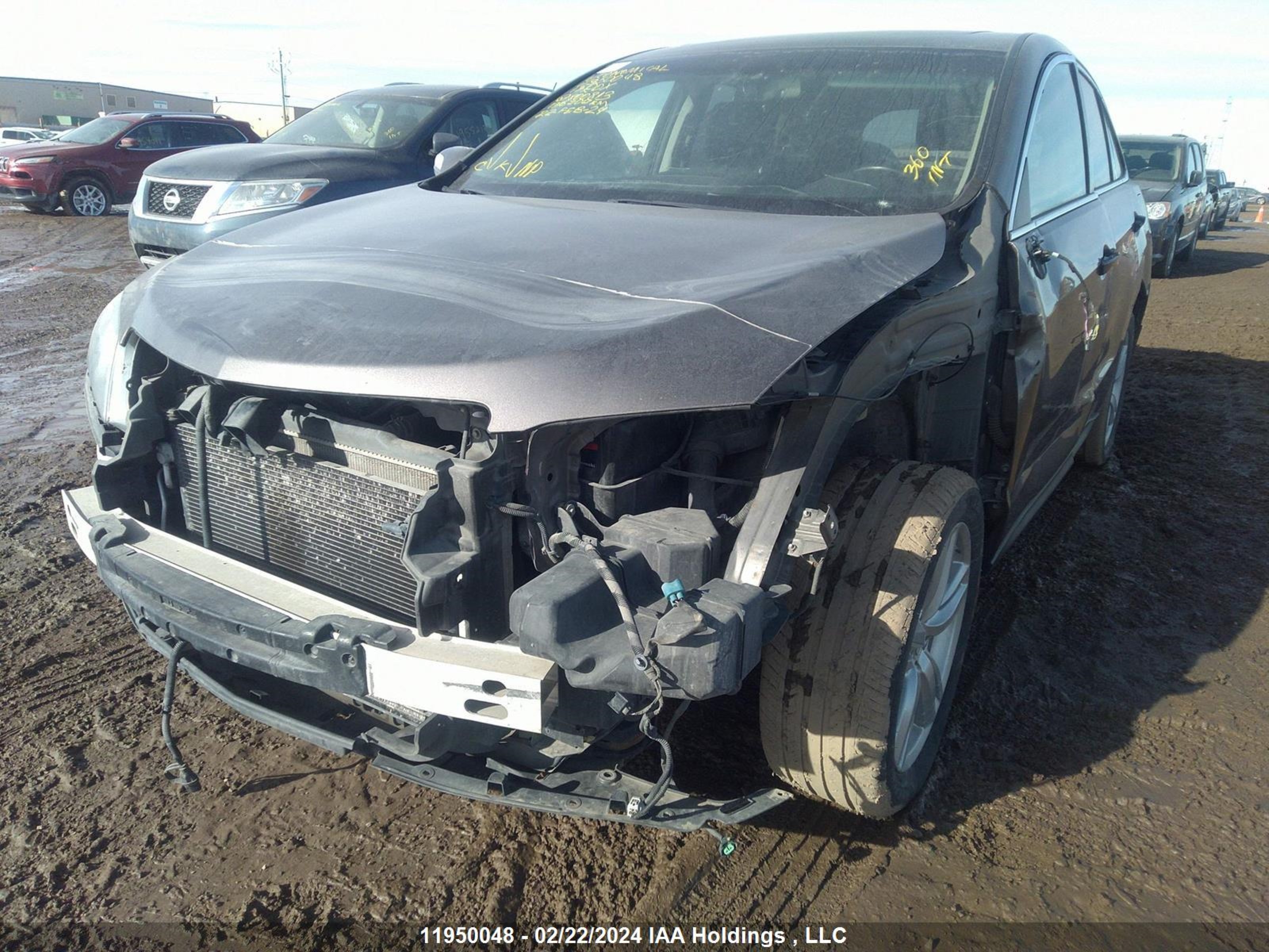 Photo 5 VIN: 5J8TB4H51DL800813 - ACURA RDX 