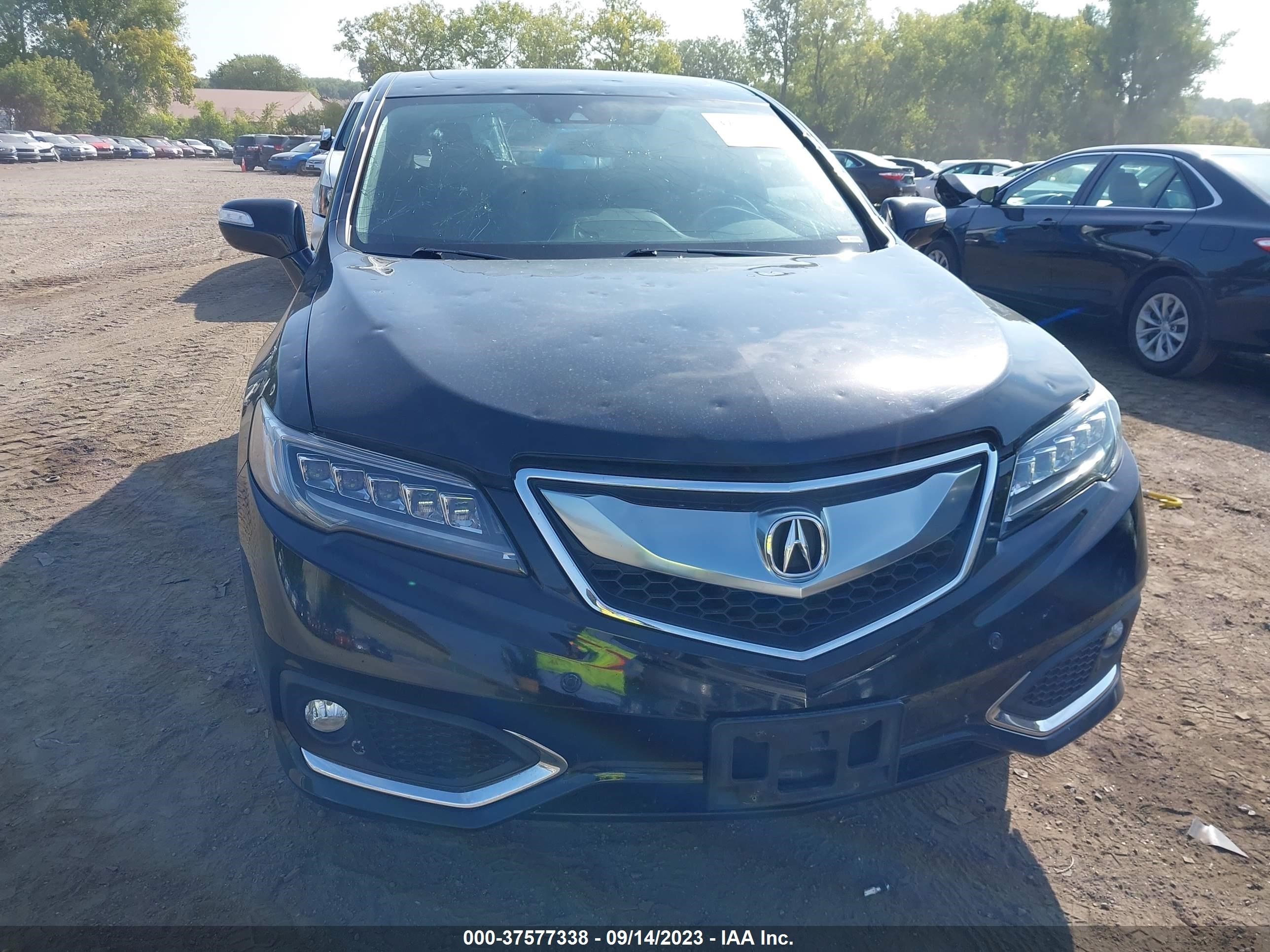 Photo 11 VIN: 5J8TB4H7XGL018659 - ACURA RDX 