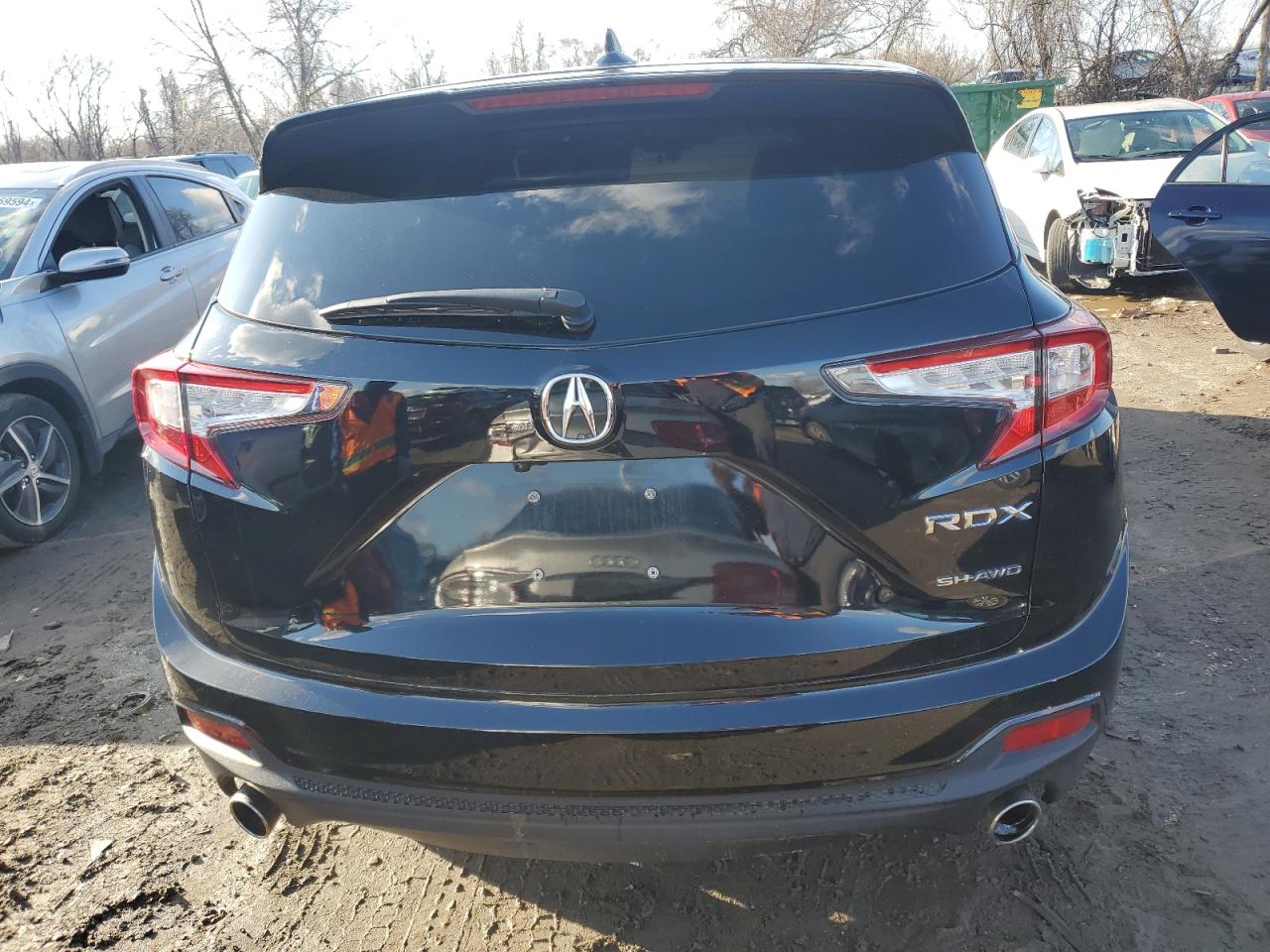 Photo 5 VIN: 5J8TC2H31LL005811 - ACURA RDX 