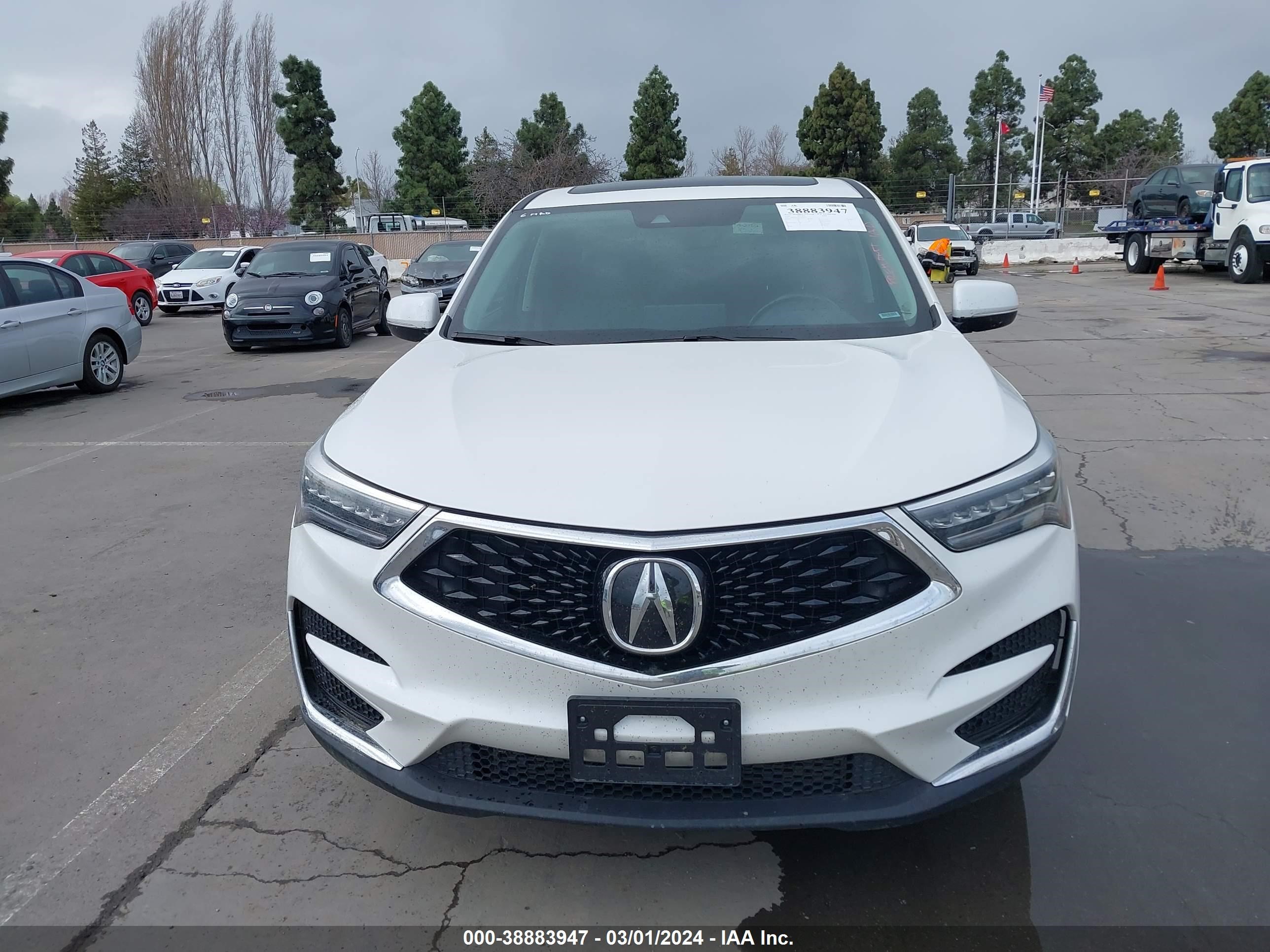 Photo 11 VIN: 5J8TC2H31LL020230 - ACURA RDX 